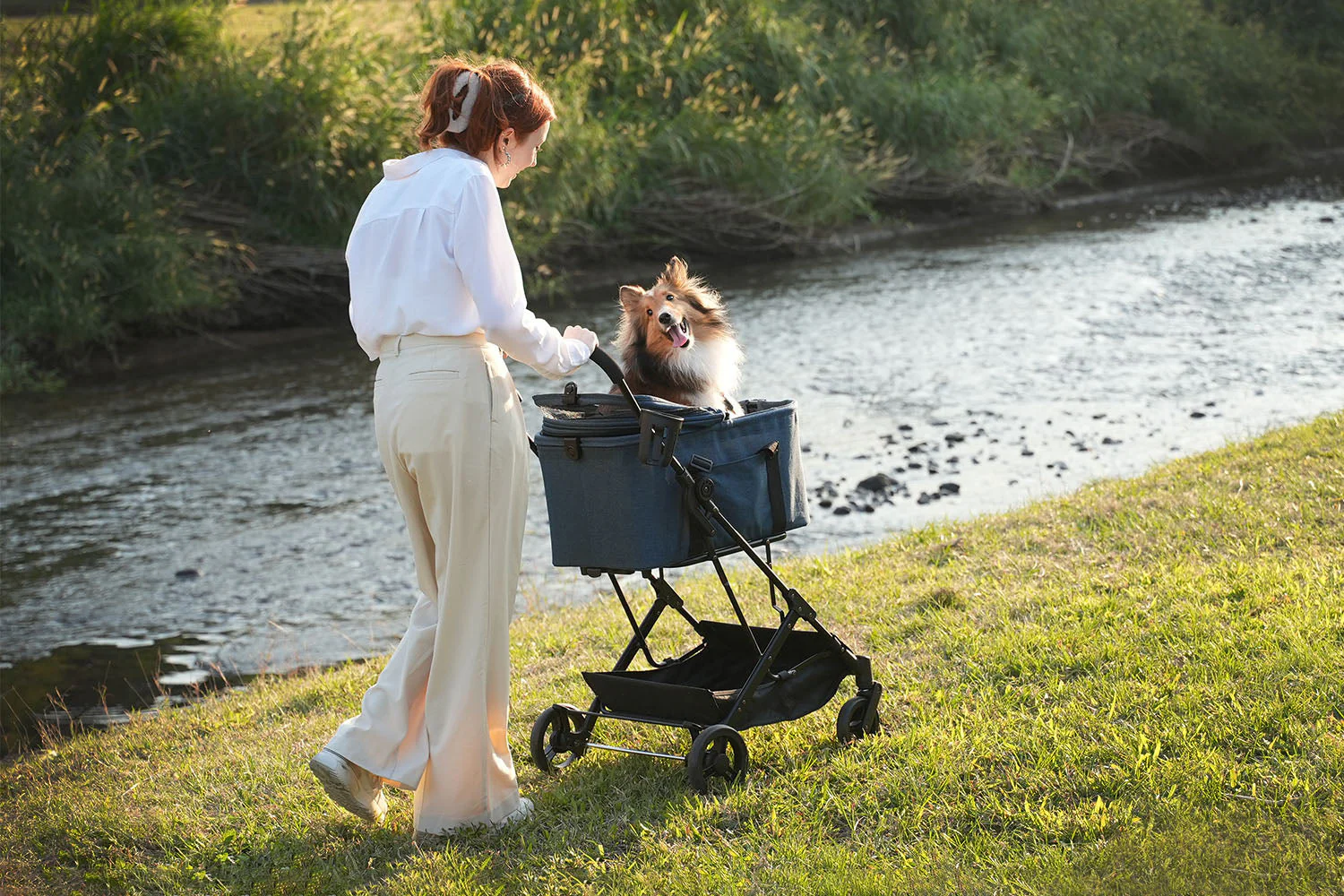 ibiyaya® Essential – Travois Tri-fold Pet Travel System XL, Pet Stroller with Detachable Carrier - Image 19