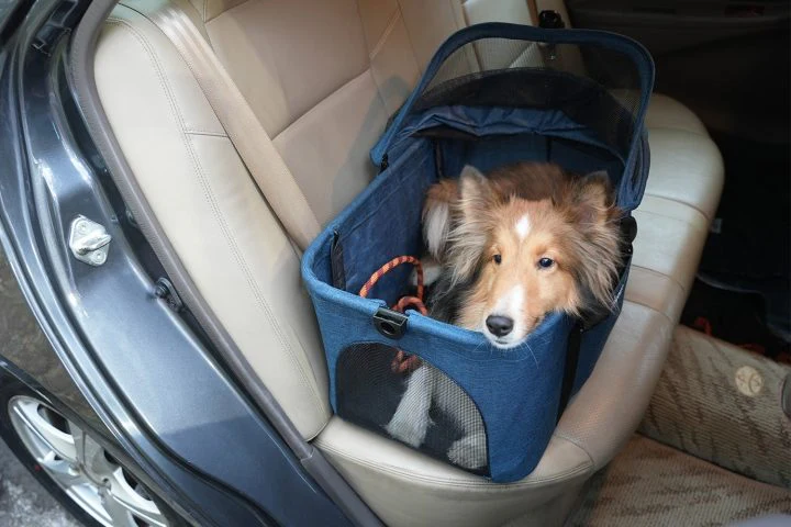 ibiyaya® Essential – Travois Tri-fold Pet Travel System XL, Pet Stroller with Detachable Carrier - Image 5