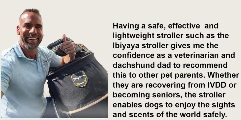 Ibiyaya Maxi Deep Carriage Pet Stroller with Puncture-Free Rubber Wheels, Lightweight and Collapsible - Image 5