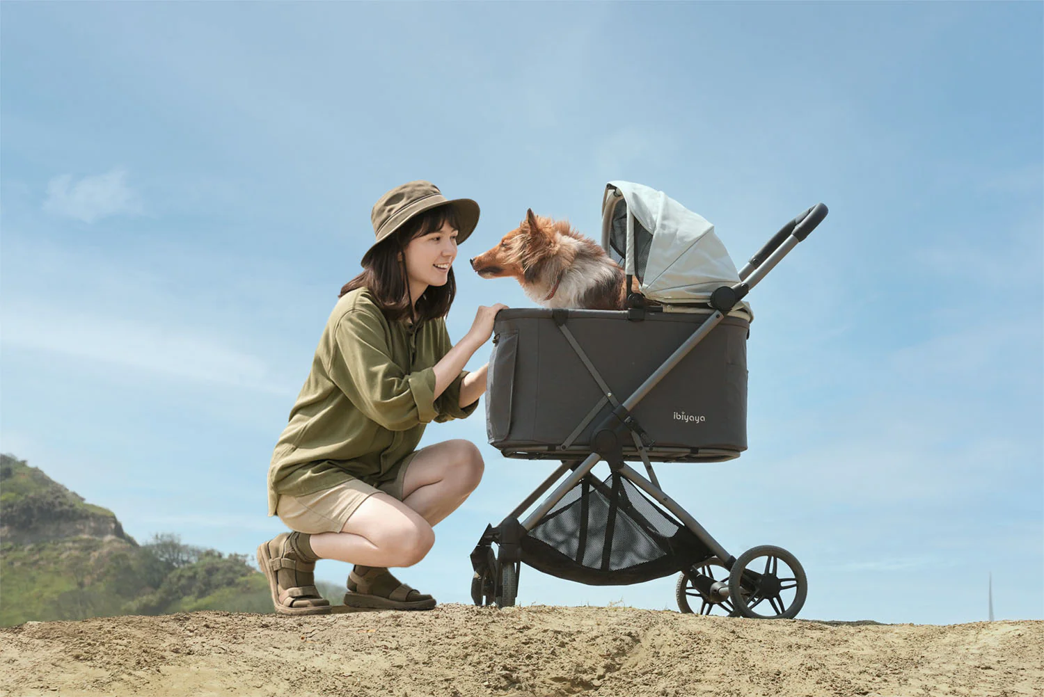 Ibiyaya Maxi Deep Carriage Pet Stroller with Puncture-Free Rubber Wheels, Lightweight and Collapsible - Image 9