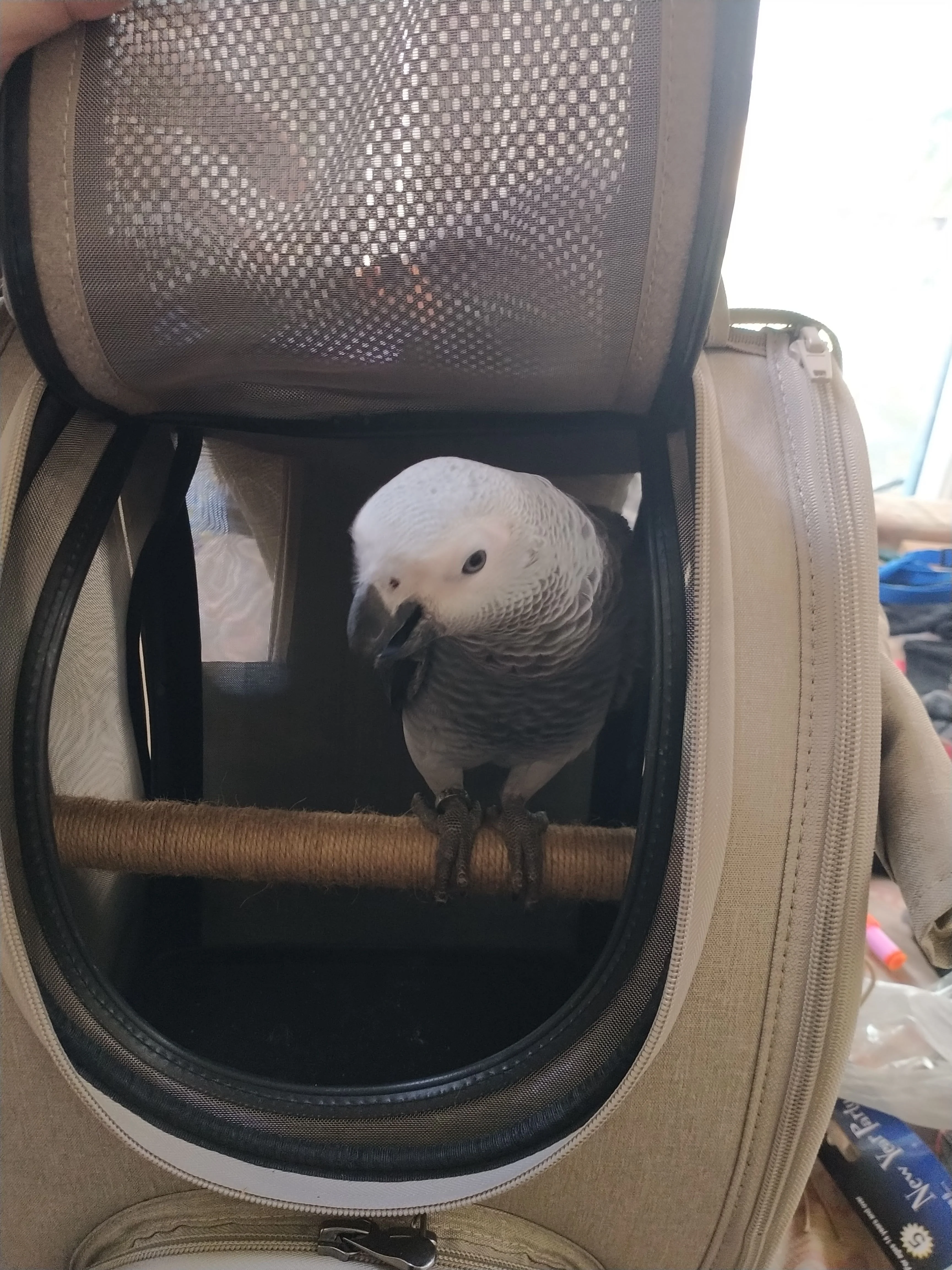 Ibiyaya BirdTricks TrackPack for Birds, Patented Bird Carrier Backpack with Perch, Airline Approved - Image 11