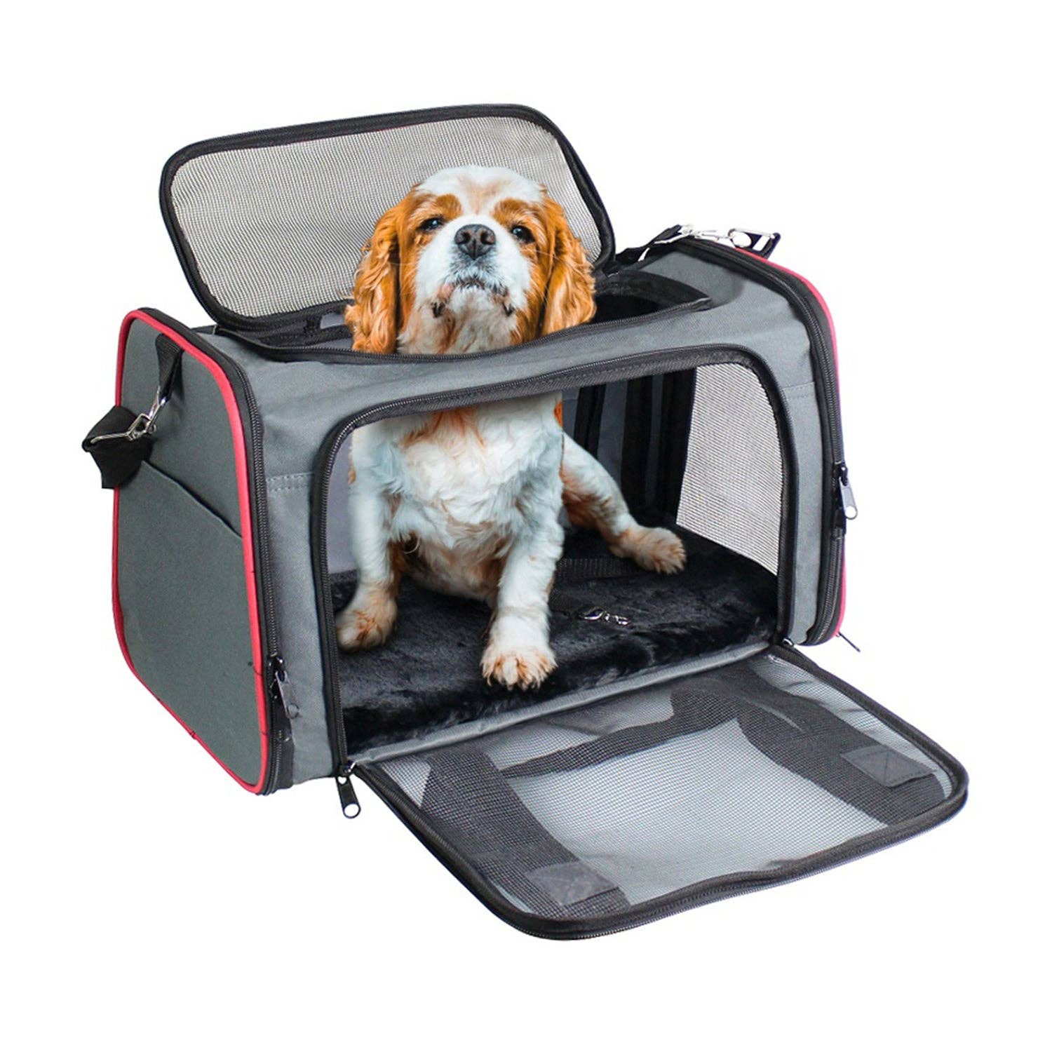 Jespet Soft-Sided Travel Small Dog & Cat Carrier