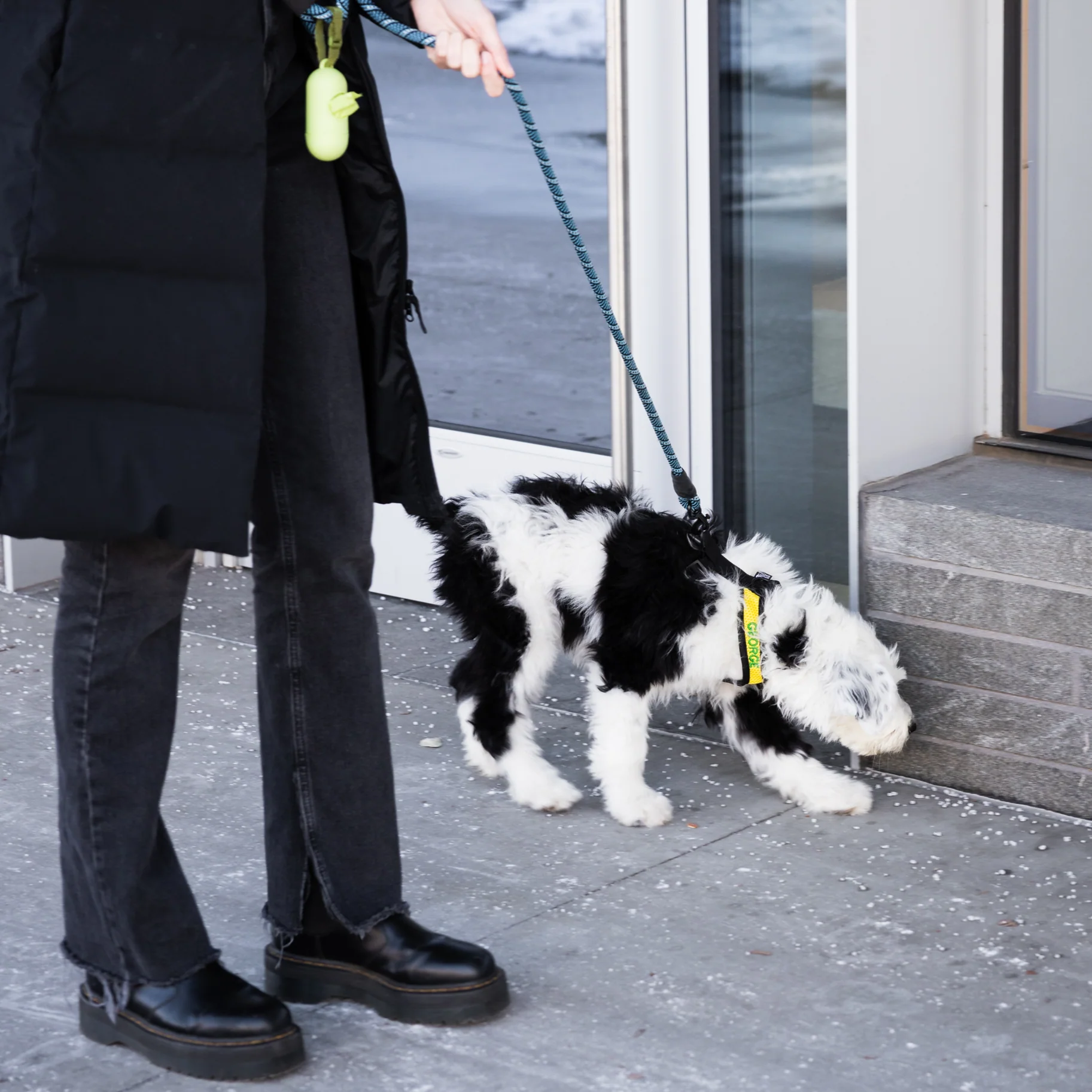 K9 Sport Harness - Image 10