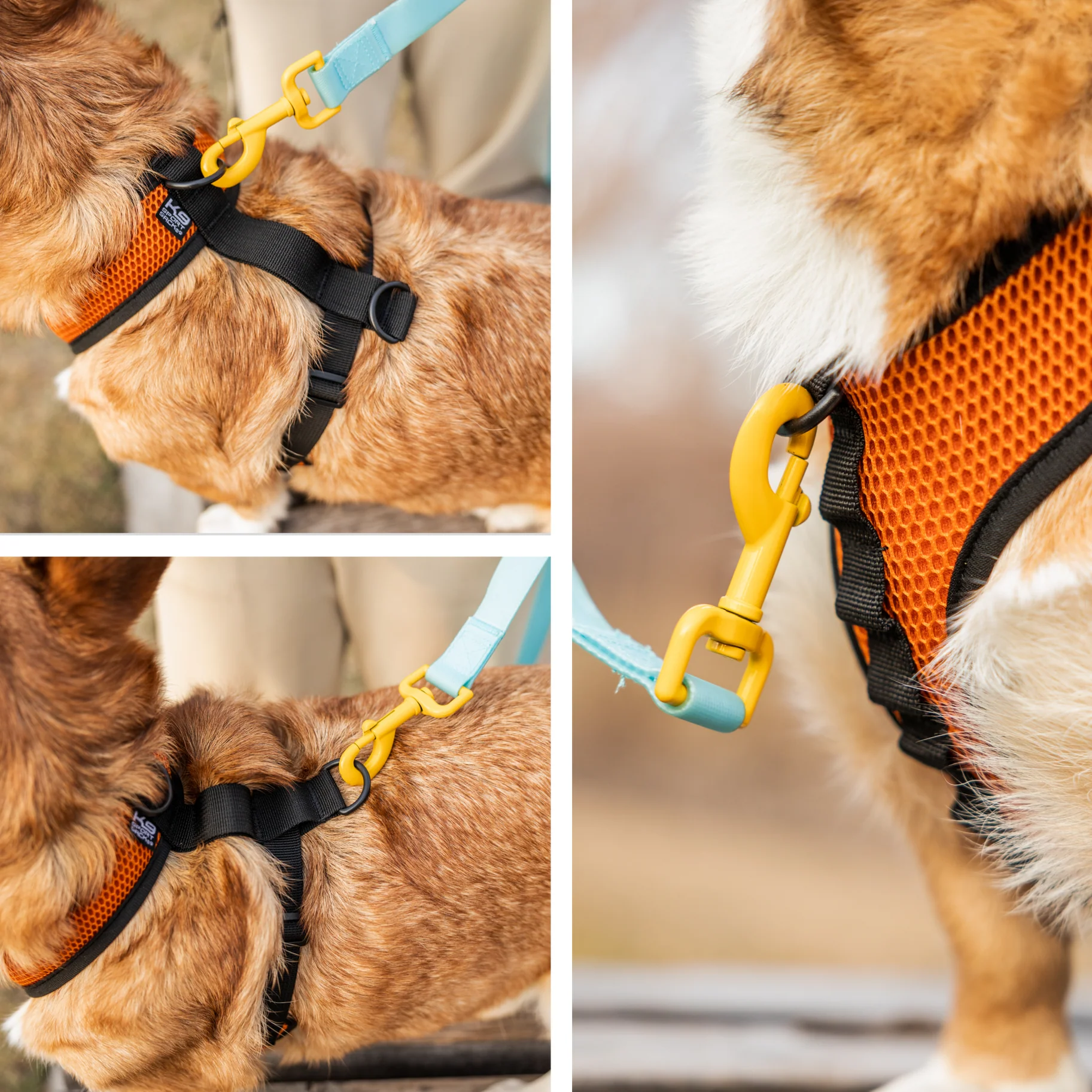 K9 Sport Harness - Image 11