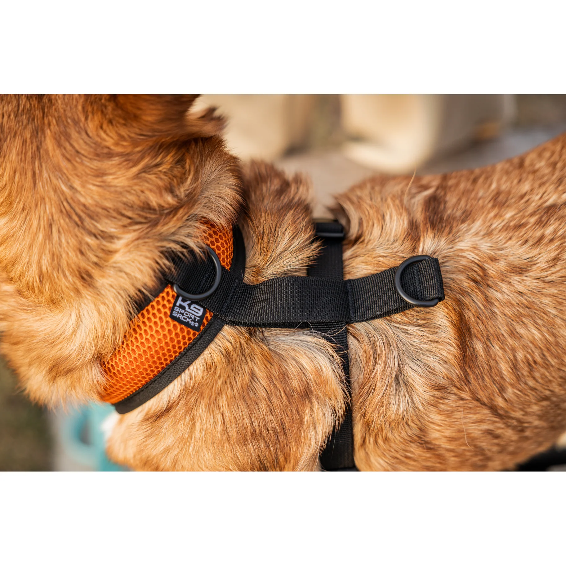 K9 Sport Harness - Image 9