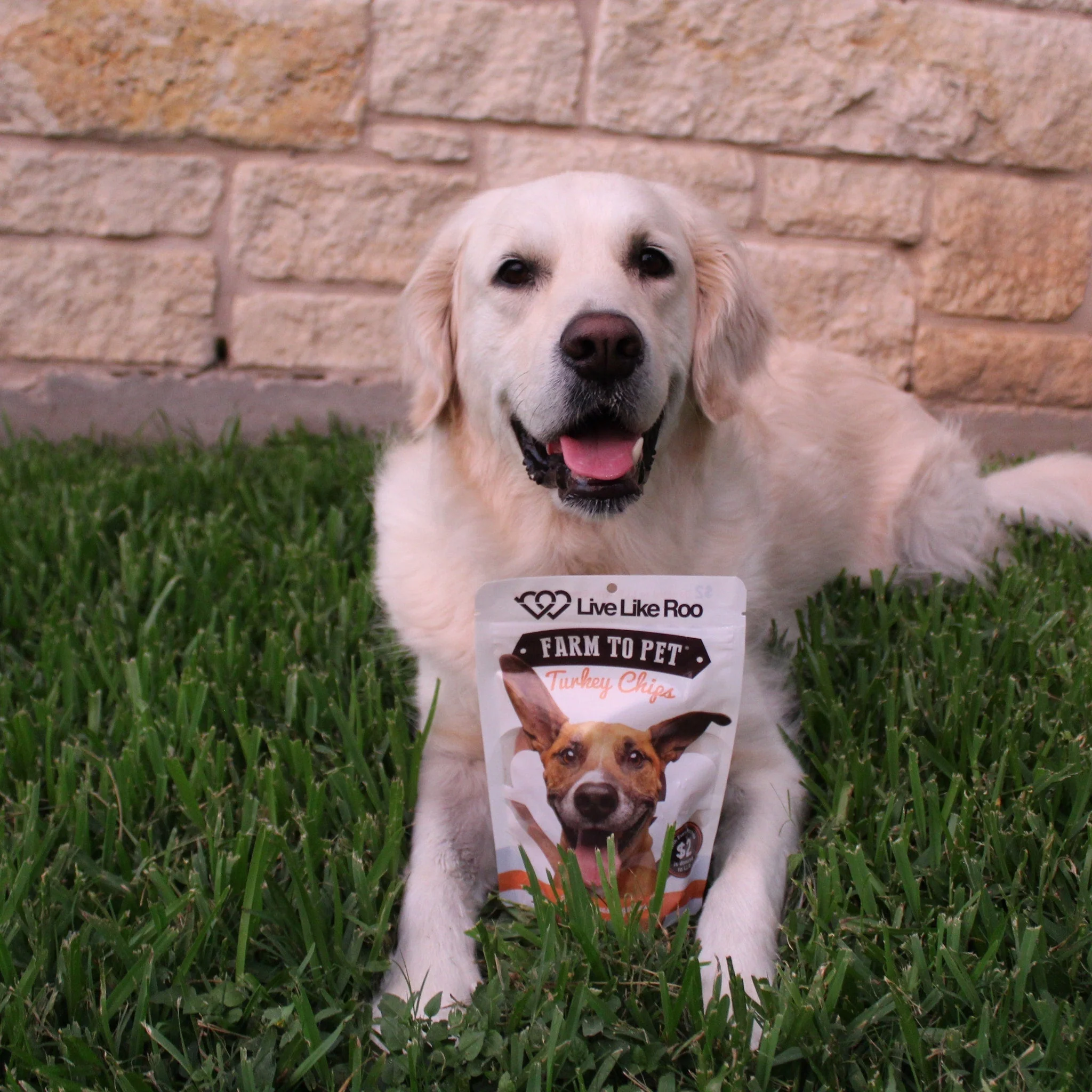 Live Like Roo Turkey Chips for Dogs | Dog Treats That Give Back - Image 5
