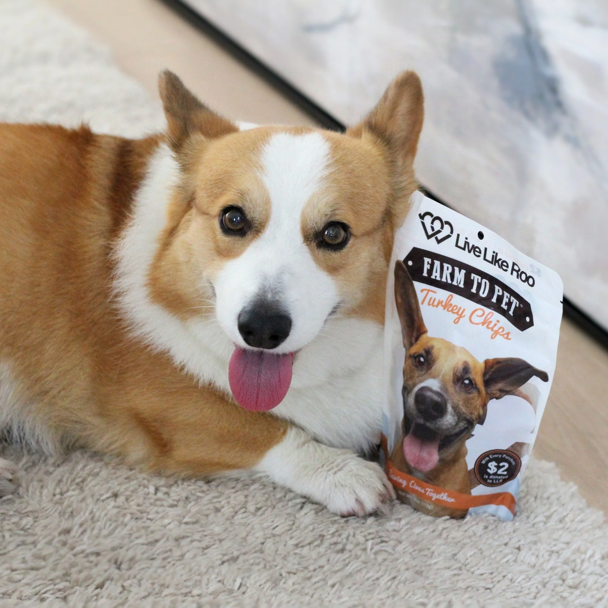 Live Like Roo Turkey Chips for Dogs | Dog Treats That Give Back - Image 6