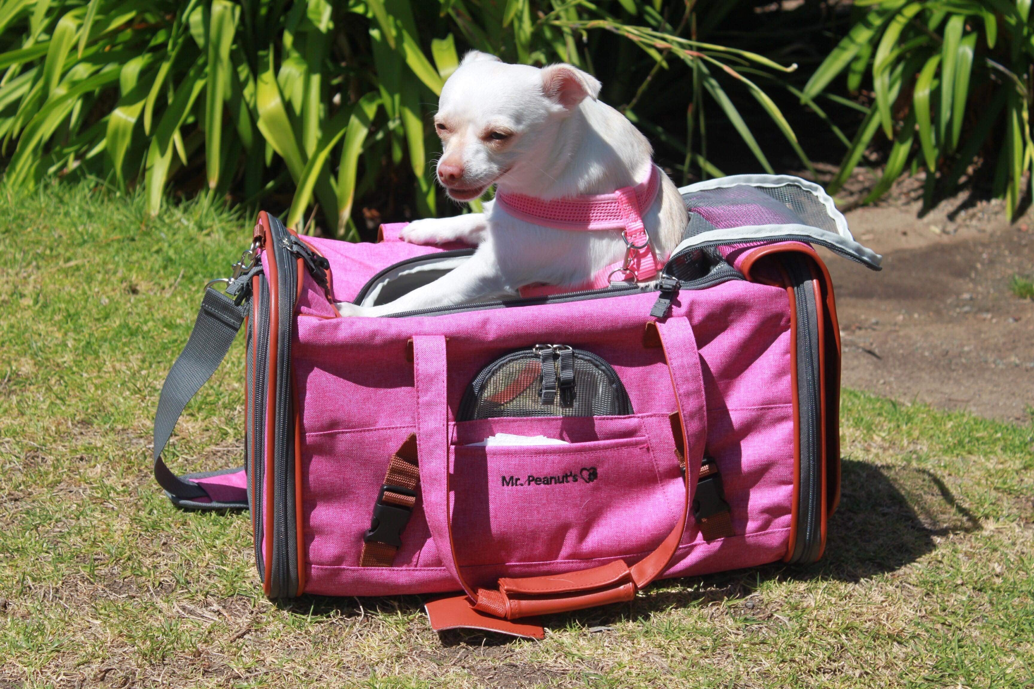 Mr. Peanut's Gold Series Standard Size Airline Compliant Pet Carrier - Image 24