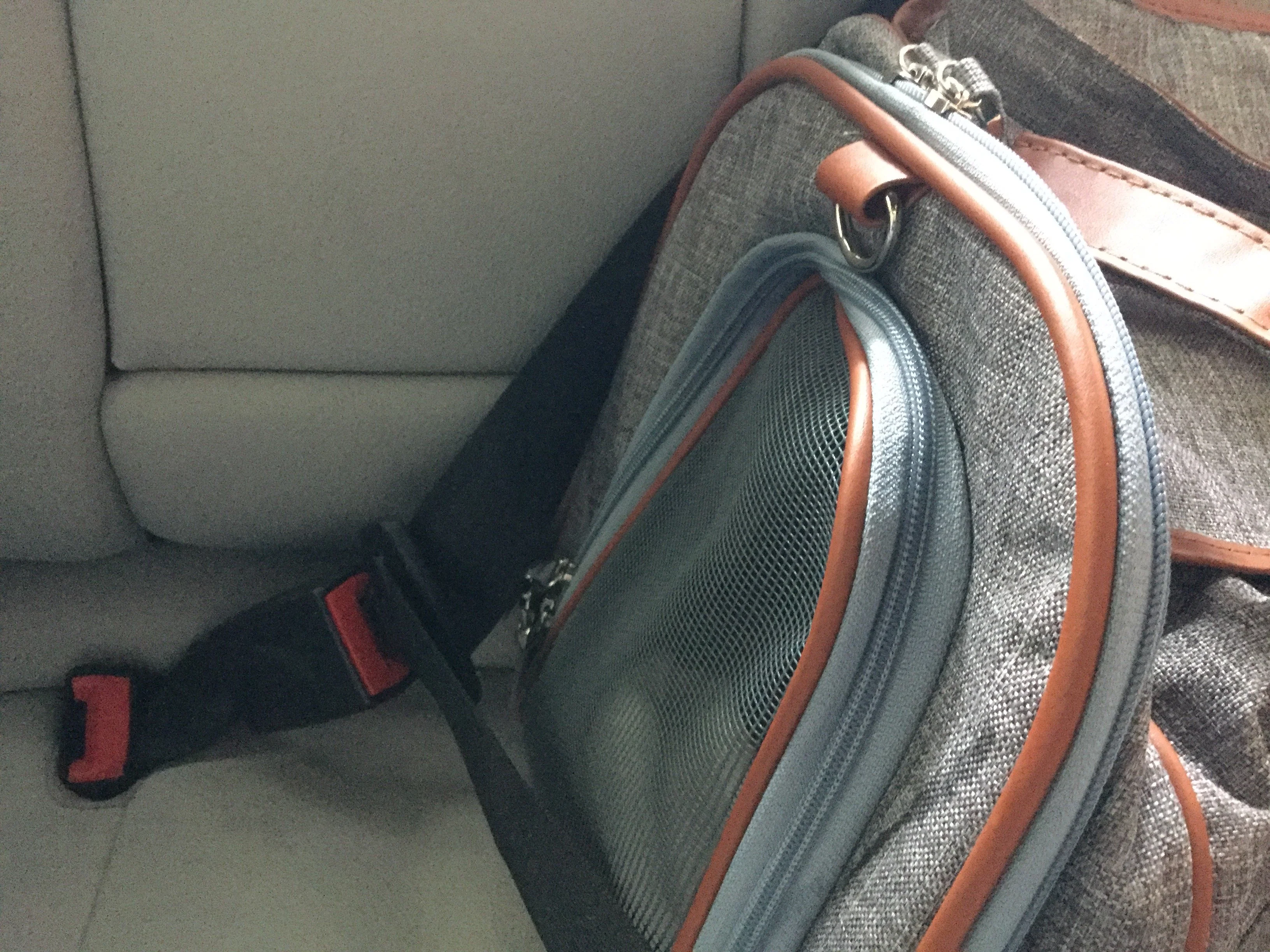 Mr. Peanut's Gold Series Standard Size Airline Compliant Pet Carrier - Image 26