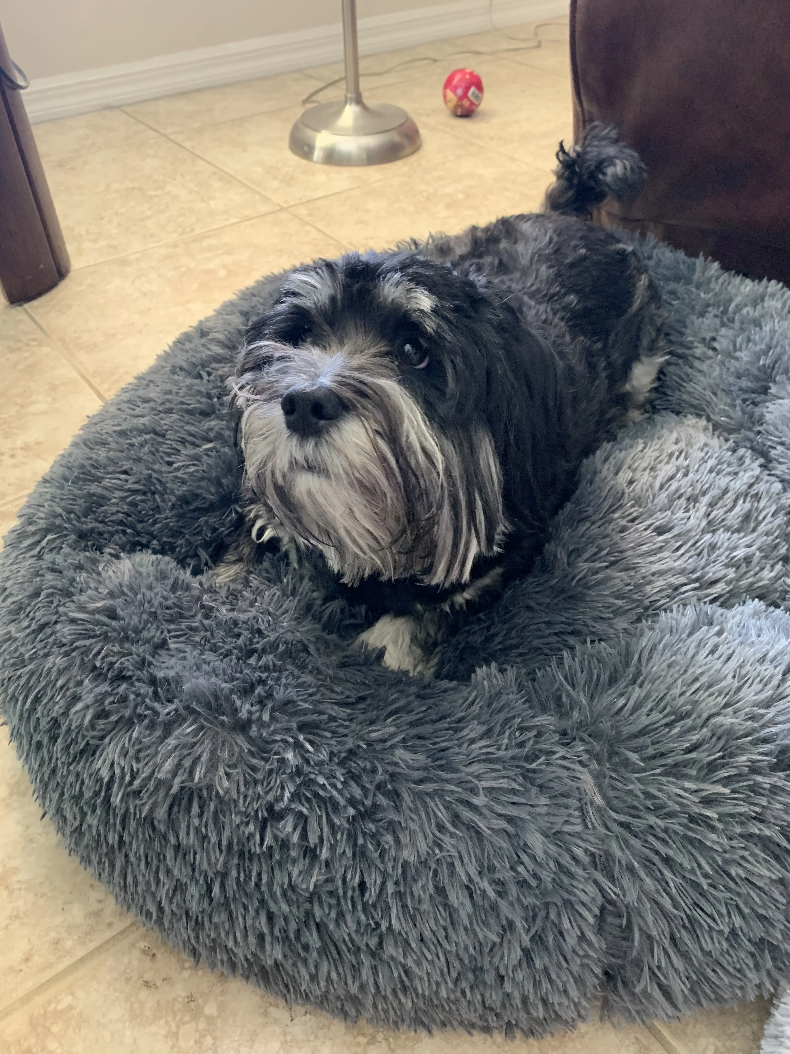 Mr. Peanut's 28" OrthoPlush® Pet Bed - Snowflake White Two Tone - Image 20