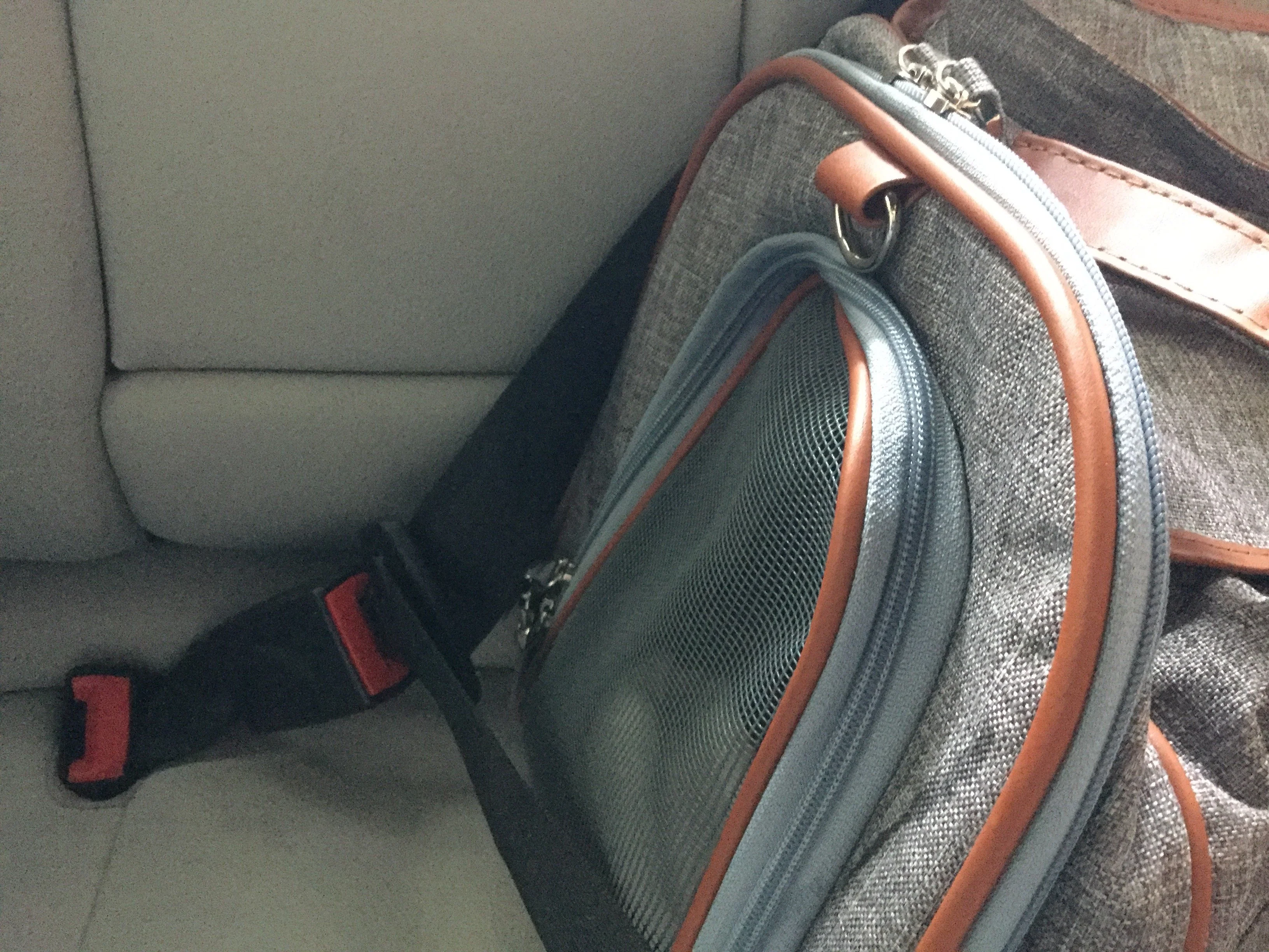 Mr. Peanut's Gold Series Big Apple XL Expandable Pet Carrier V3.0 - Image 14