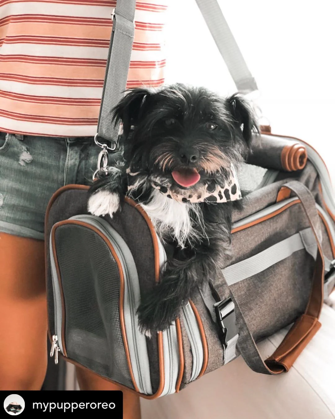 Mr. Peanut's Gold Series Standard Size Airline Compliant Expandable Pet Carrier V2.0 - Image 15