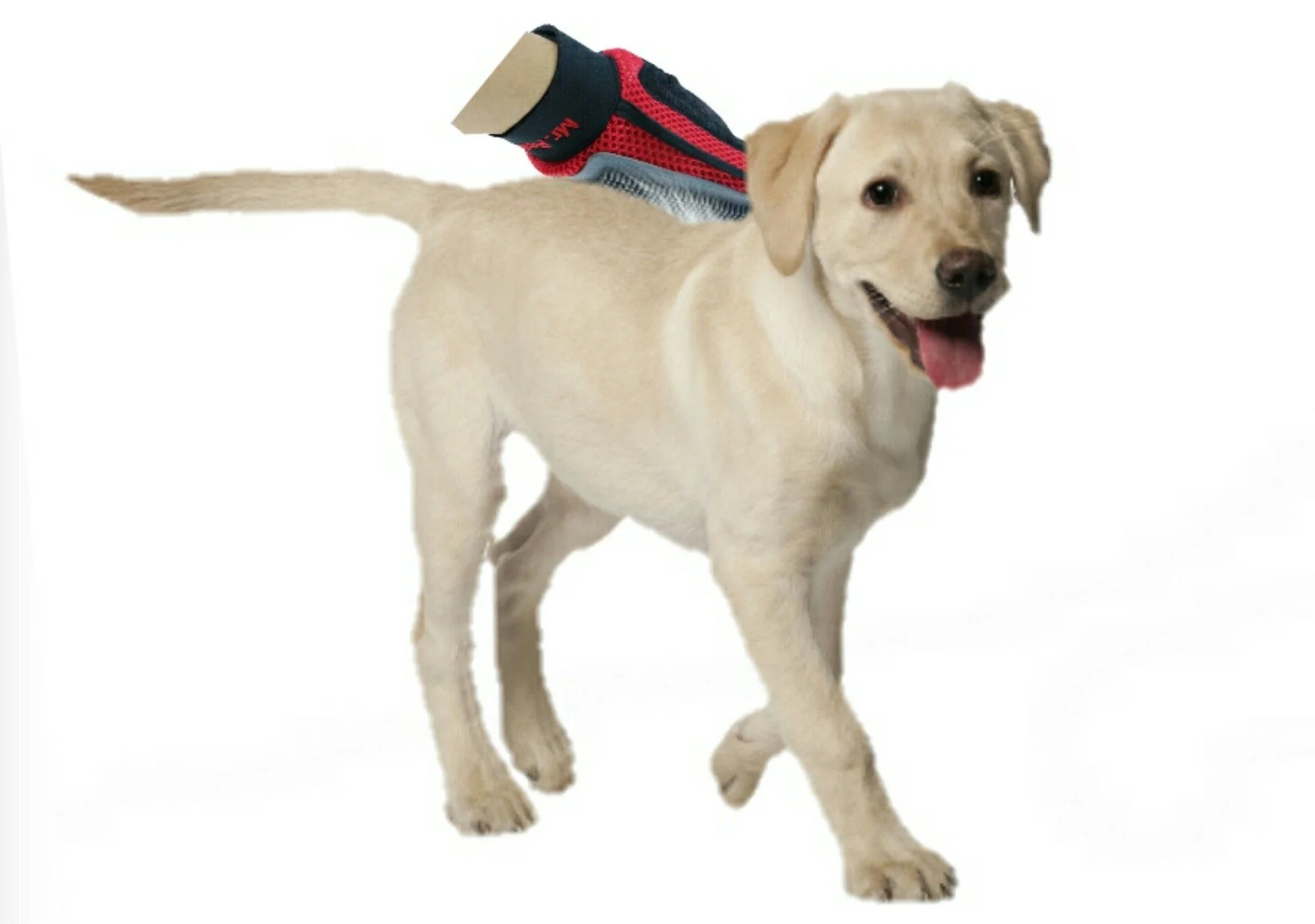 Mr. Peanut's Original Pet Grooming Glove - Image 3