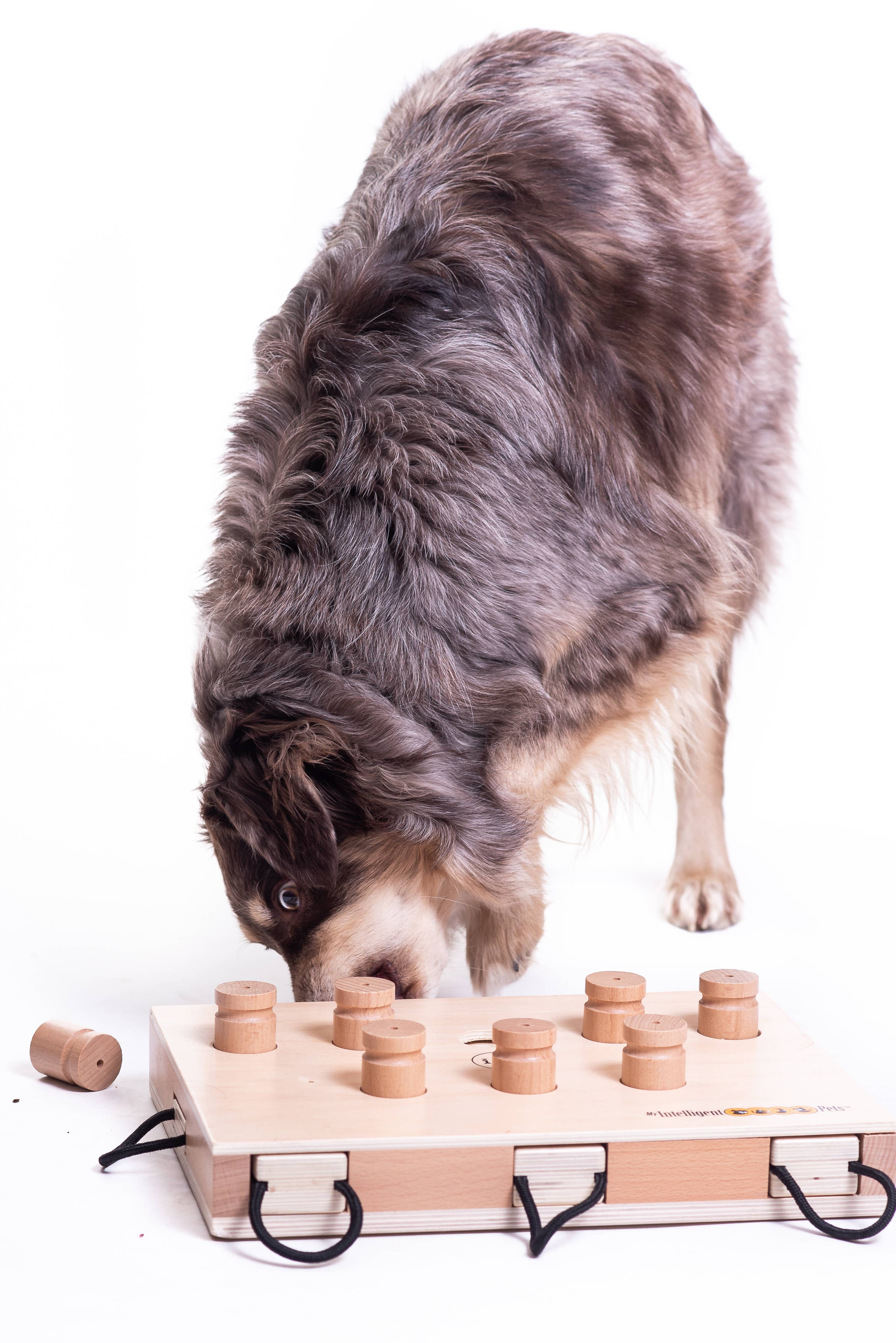 IPet Smart Dog - Challenging Interactive Game for Dogs by My Intelligent Dogs - Image 10