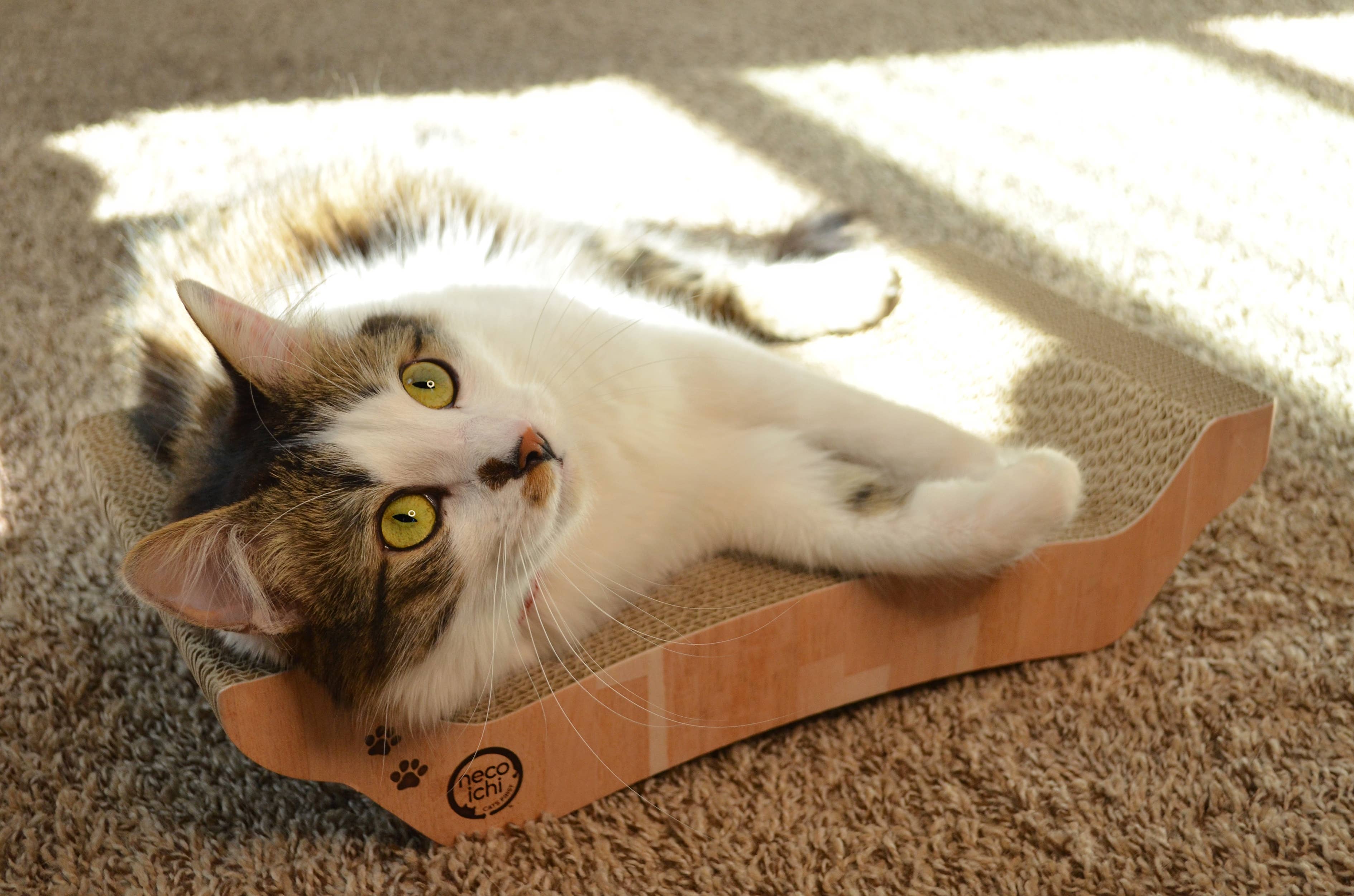 Necoichi Premium Comfort Reversible Cat Bed (Oak) - Image 8