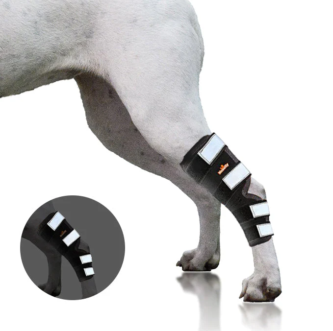 NeoAlly Dog Rear Leg Hock Brace with Safety Reflective Straps for Large Dogs [Long Version] - Image 17