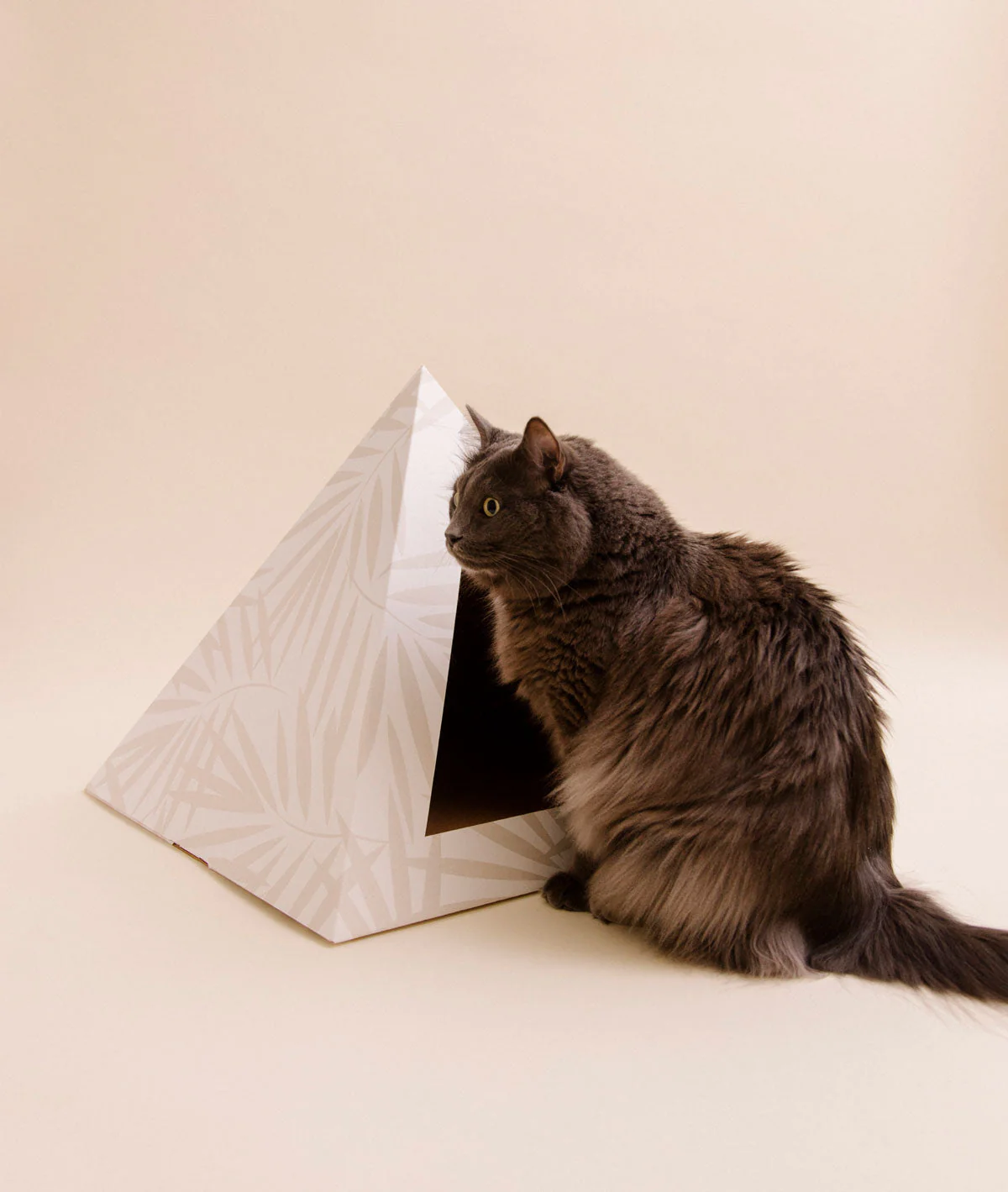 Kitty Kardboard® 'Neutral Palm' Cat Pyramid - Image 7