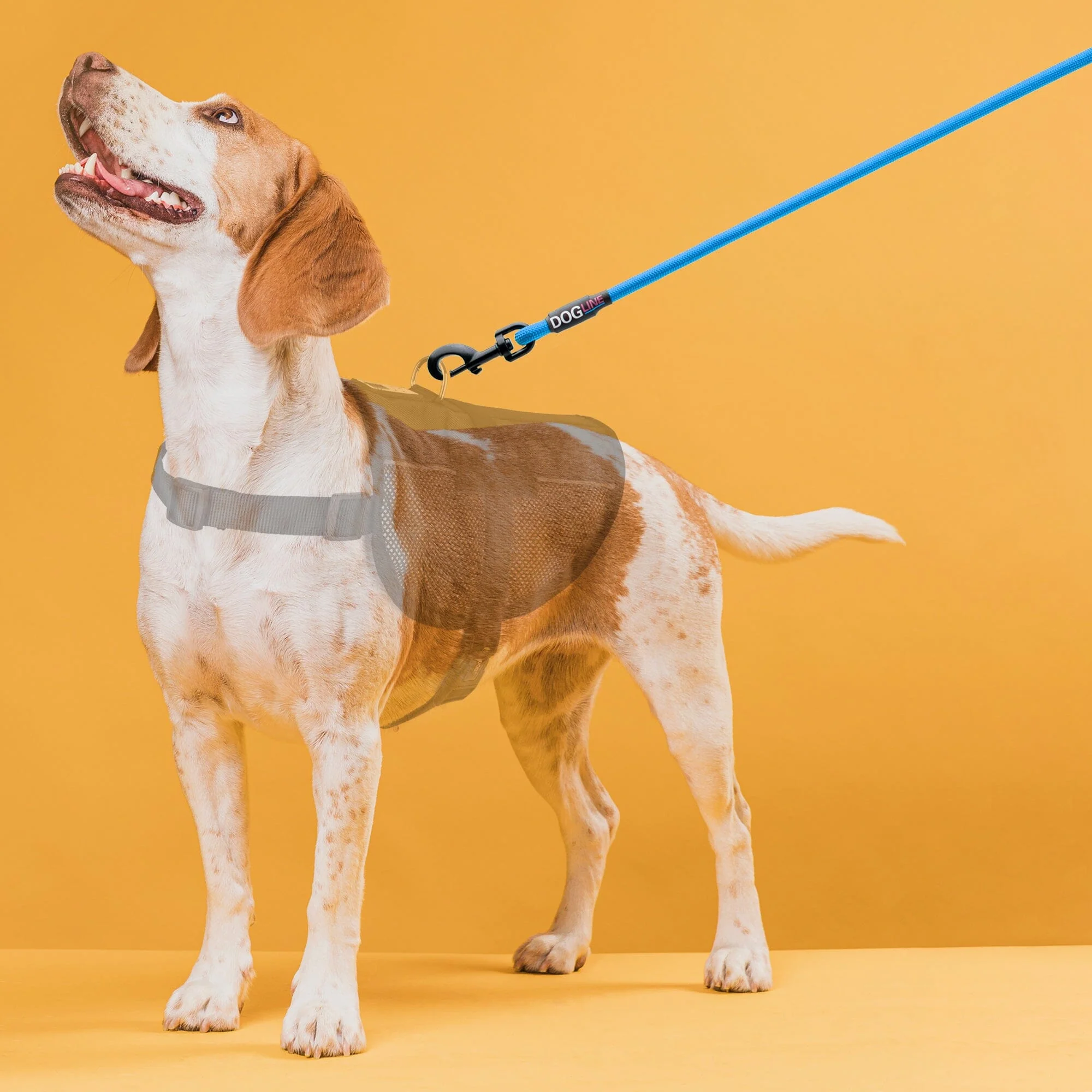 Nylon Round Dog Lead - Image 2