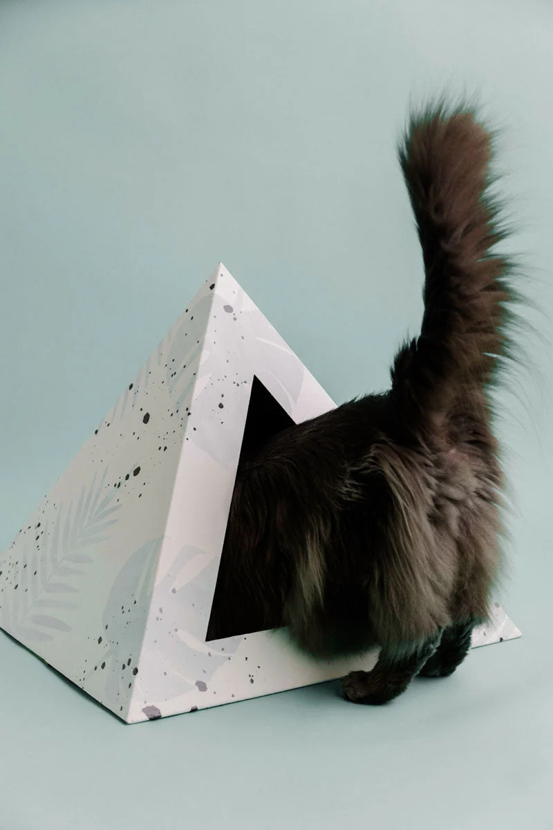 Kitty Kardboard® 'Oasis' Cat Pyramid - Image 5