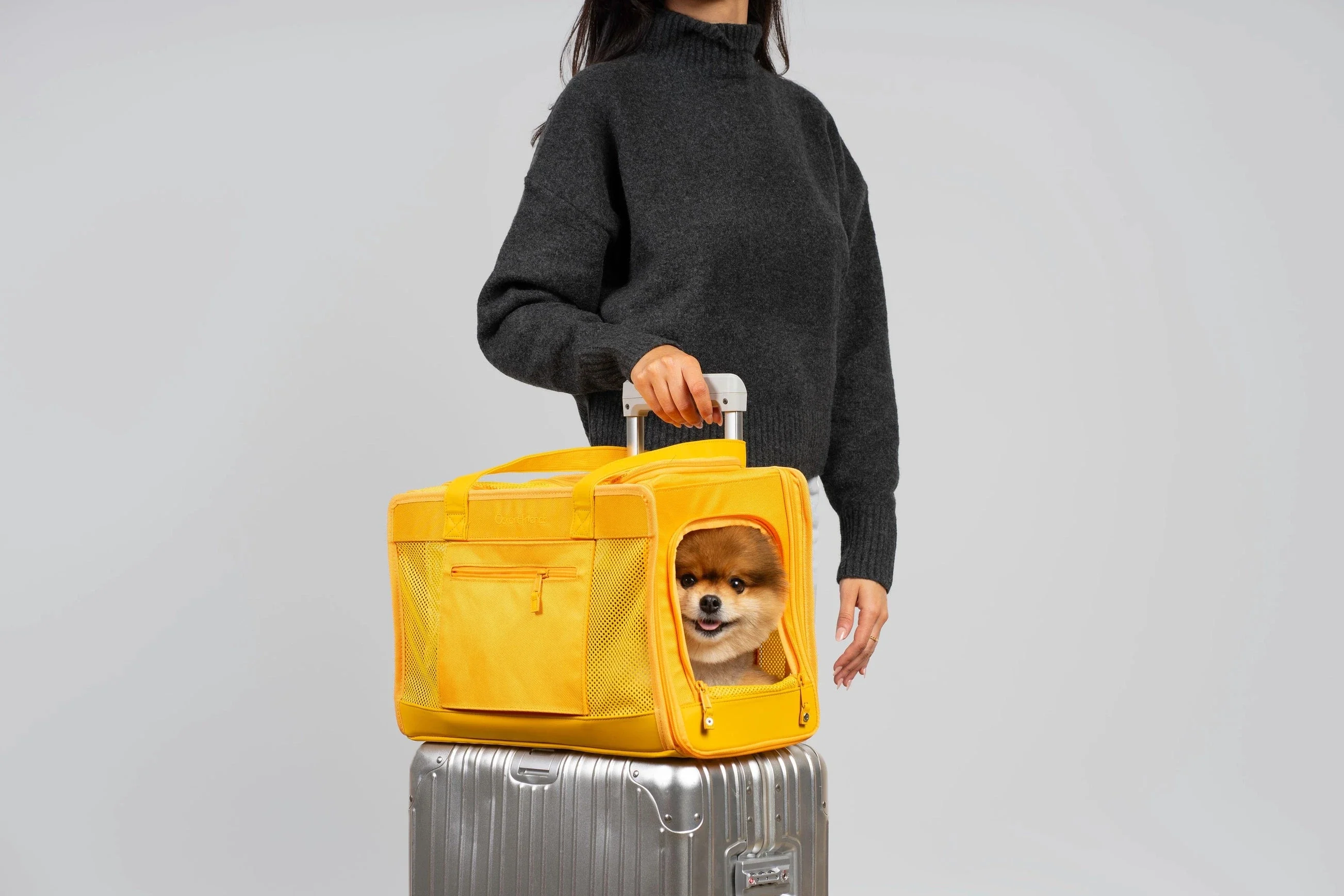 Oskar & Friends Pet Travel Carrier - Airline Compliant, Lightweight - Image 17