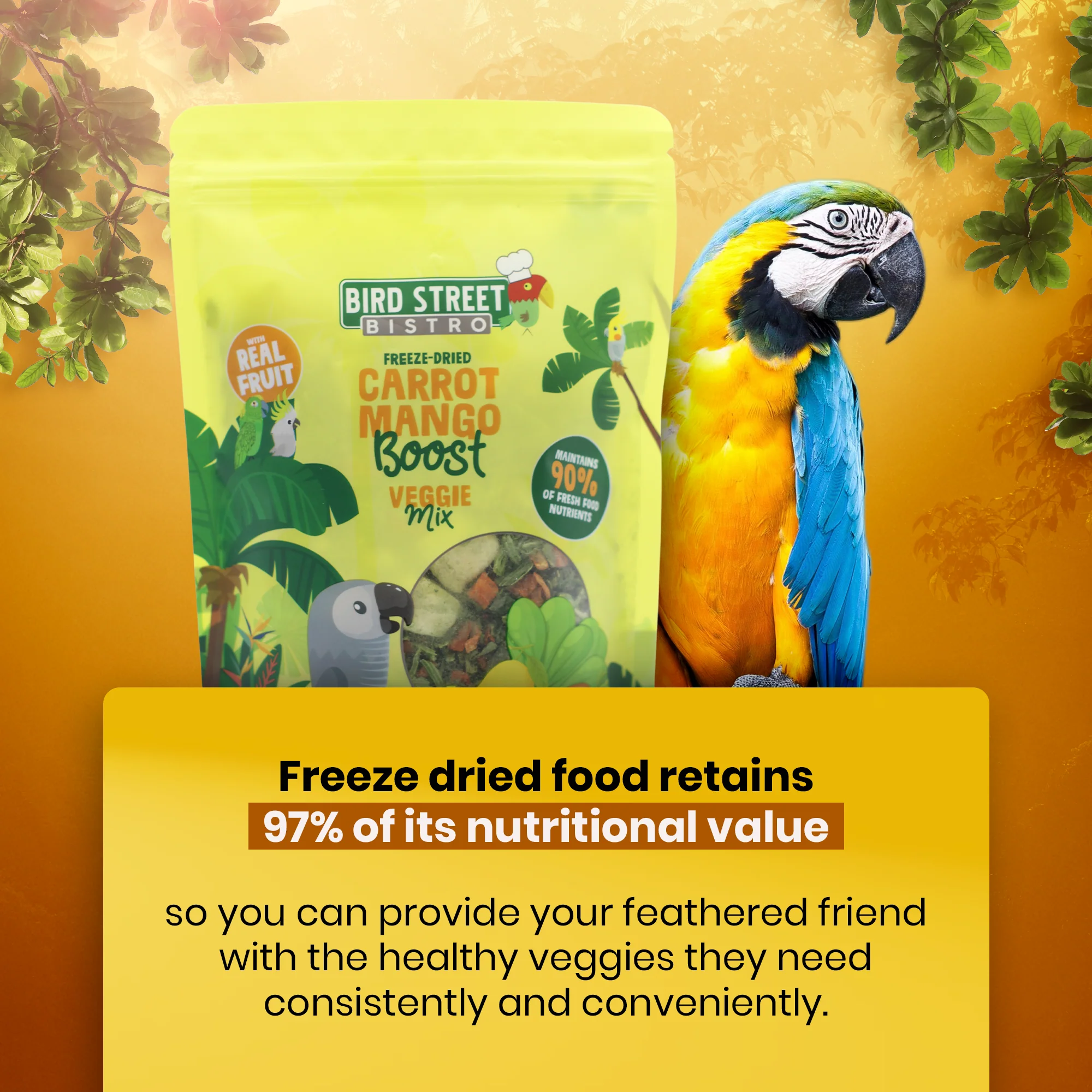 Parrot Food Super-Pack - Image 7