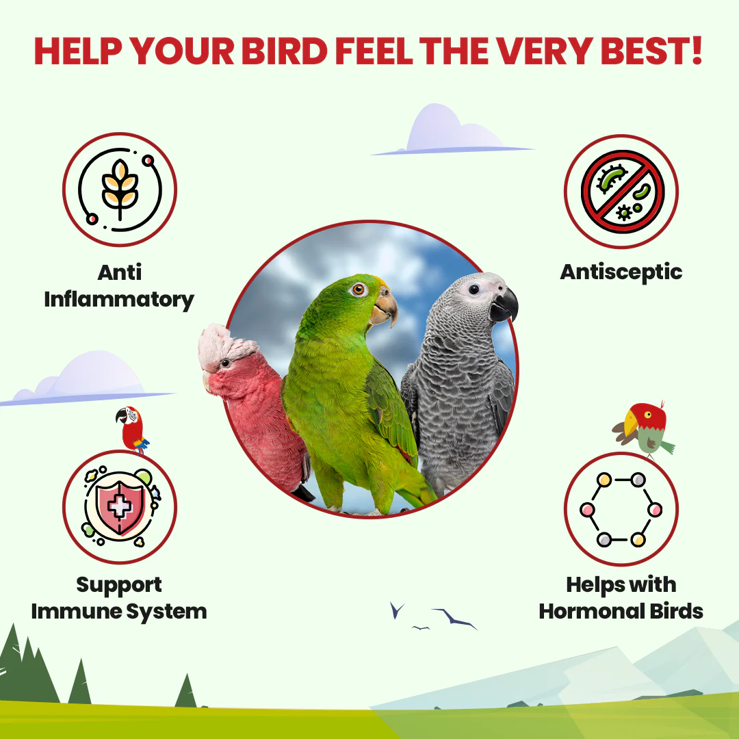 Parrot Tea Bundle Pack - Image 4