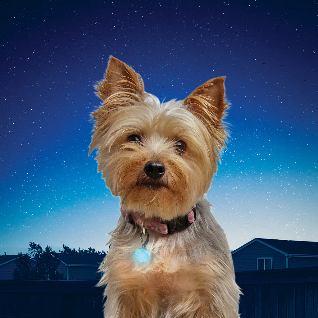 Nite Ize PetLit/SpotLit Collar Light - Image 12