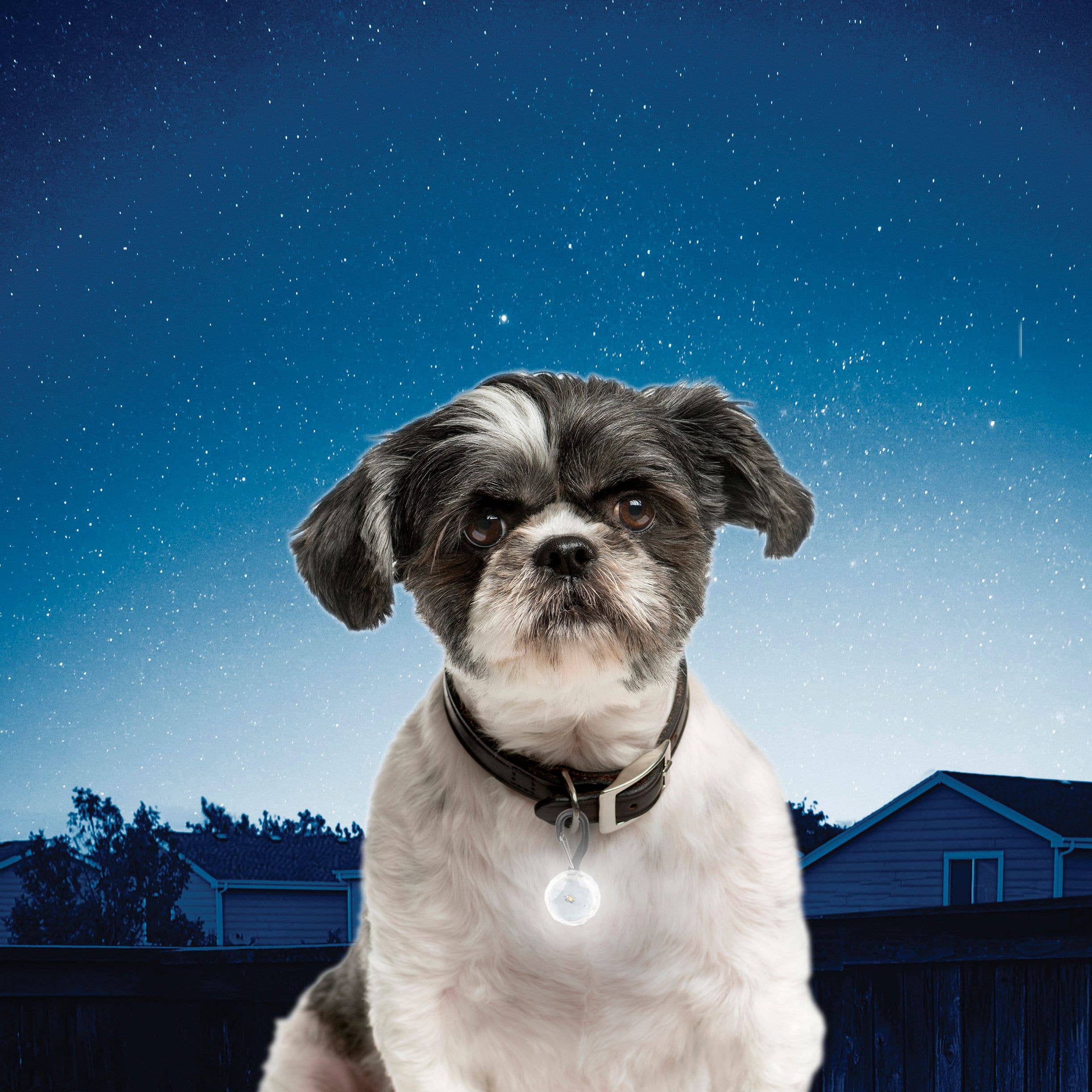 Nite Ize PetLit/SpotLit Collar Light - Image 6