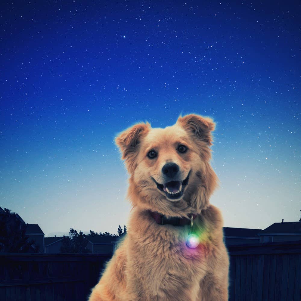 Nite Ize PetLit/SpotLit Collar Light - Image 8
