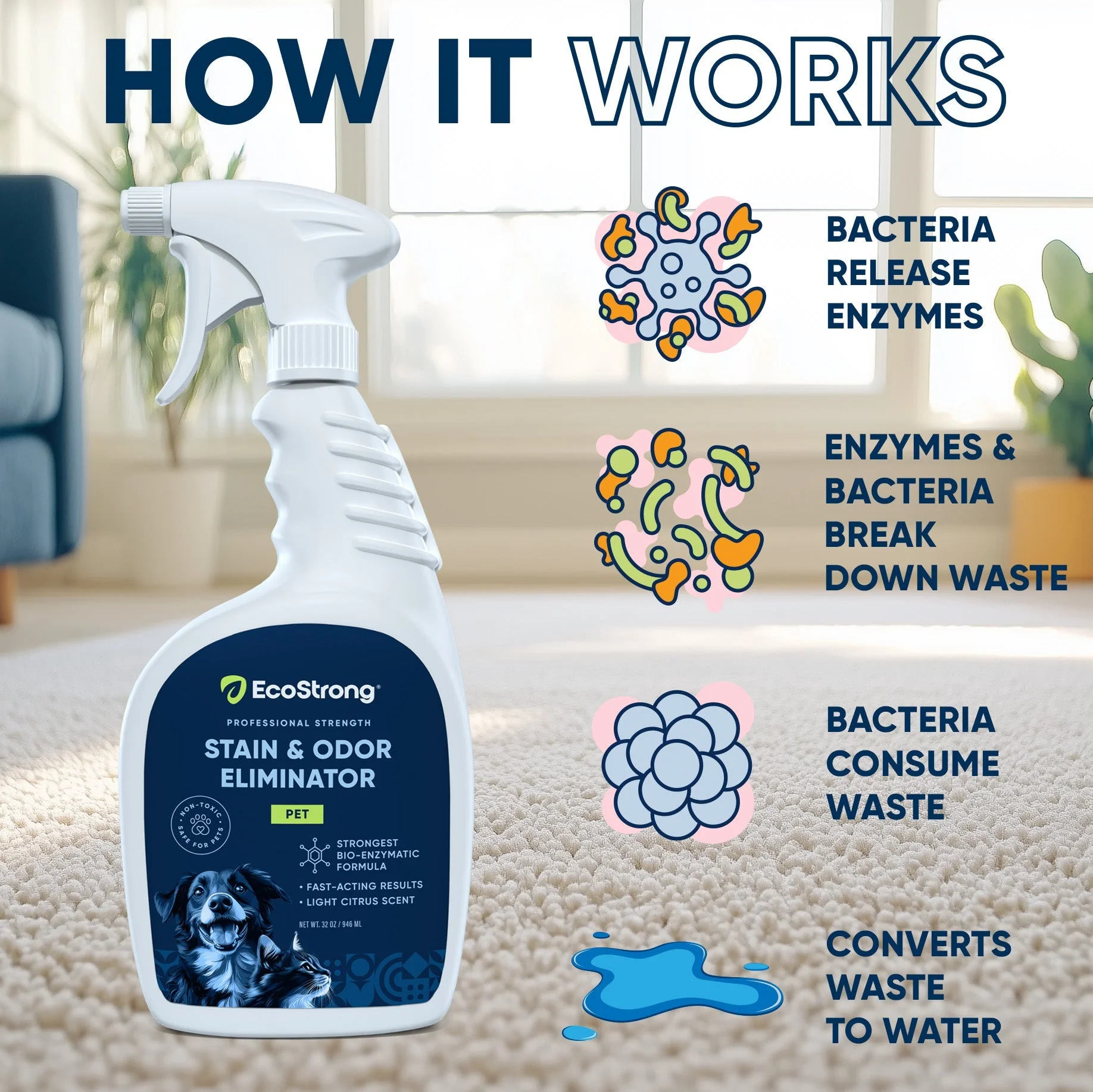 Pet Stain and Odor Eliminator - Image 15
