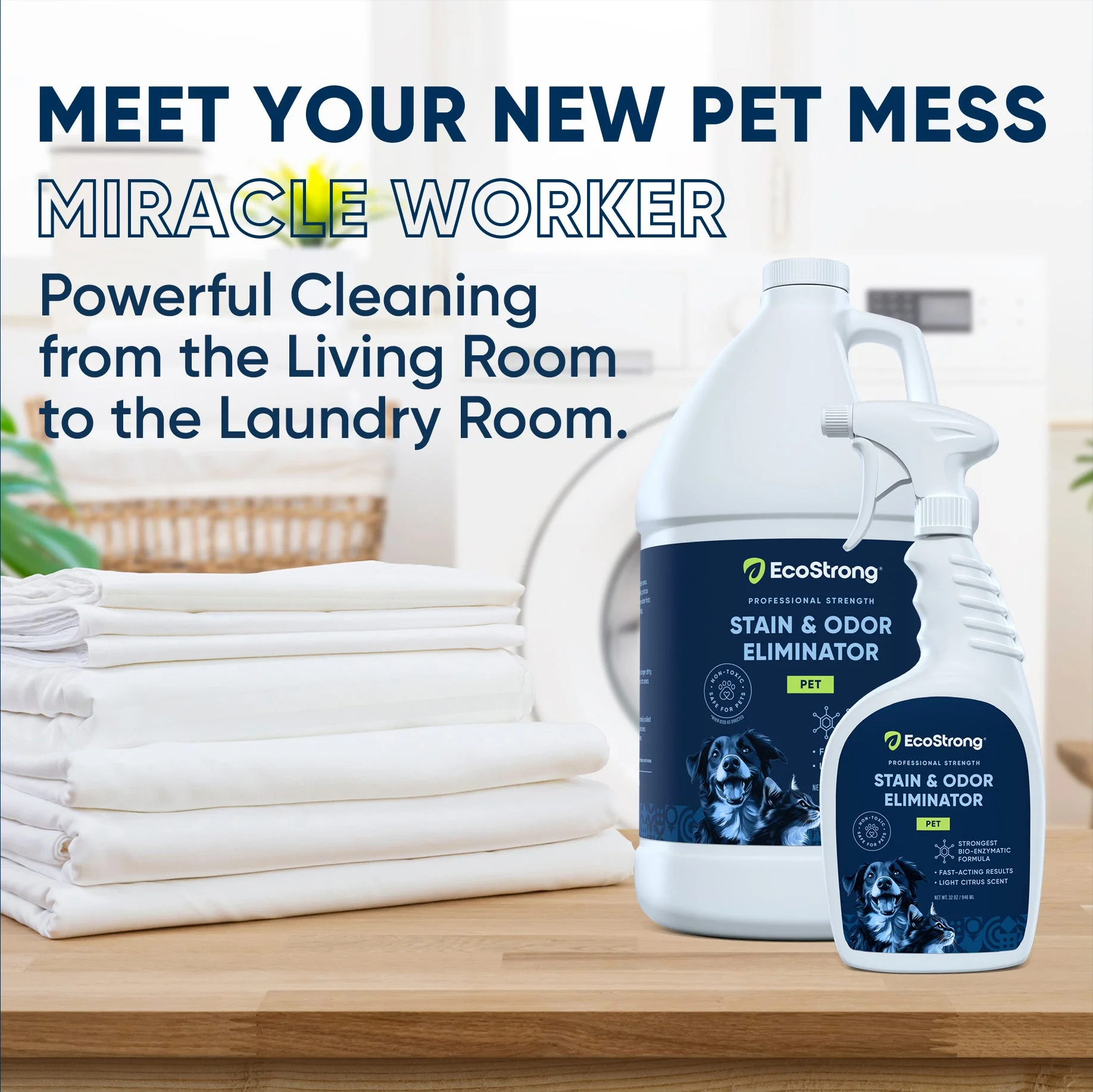 Pet Stain and Odor Eliminator - Image 21