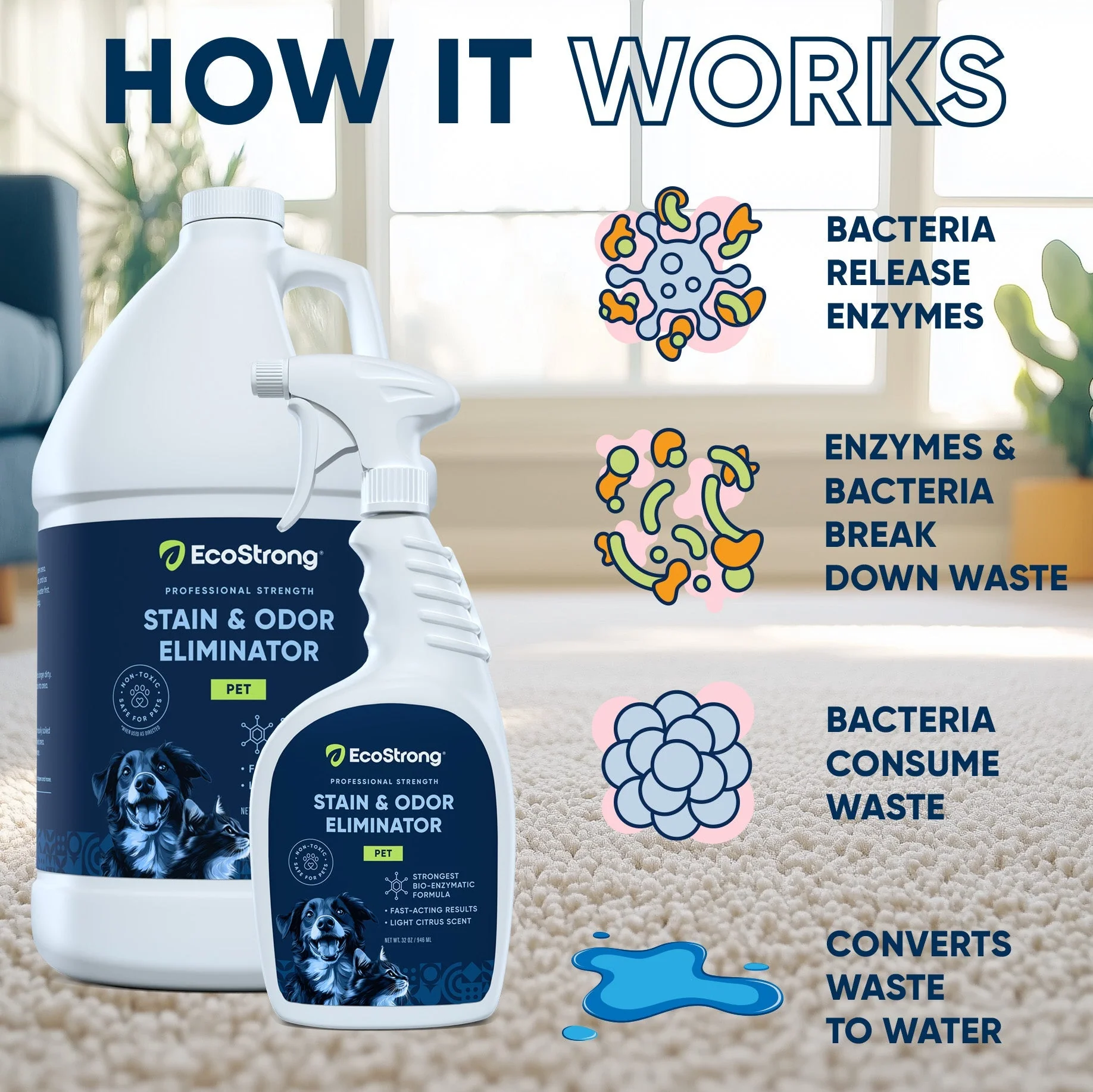 Pet Stain and Odor Eliminator - Image 24