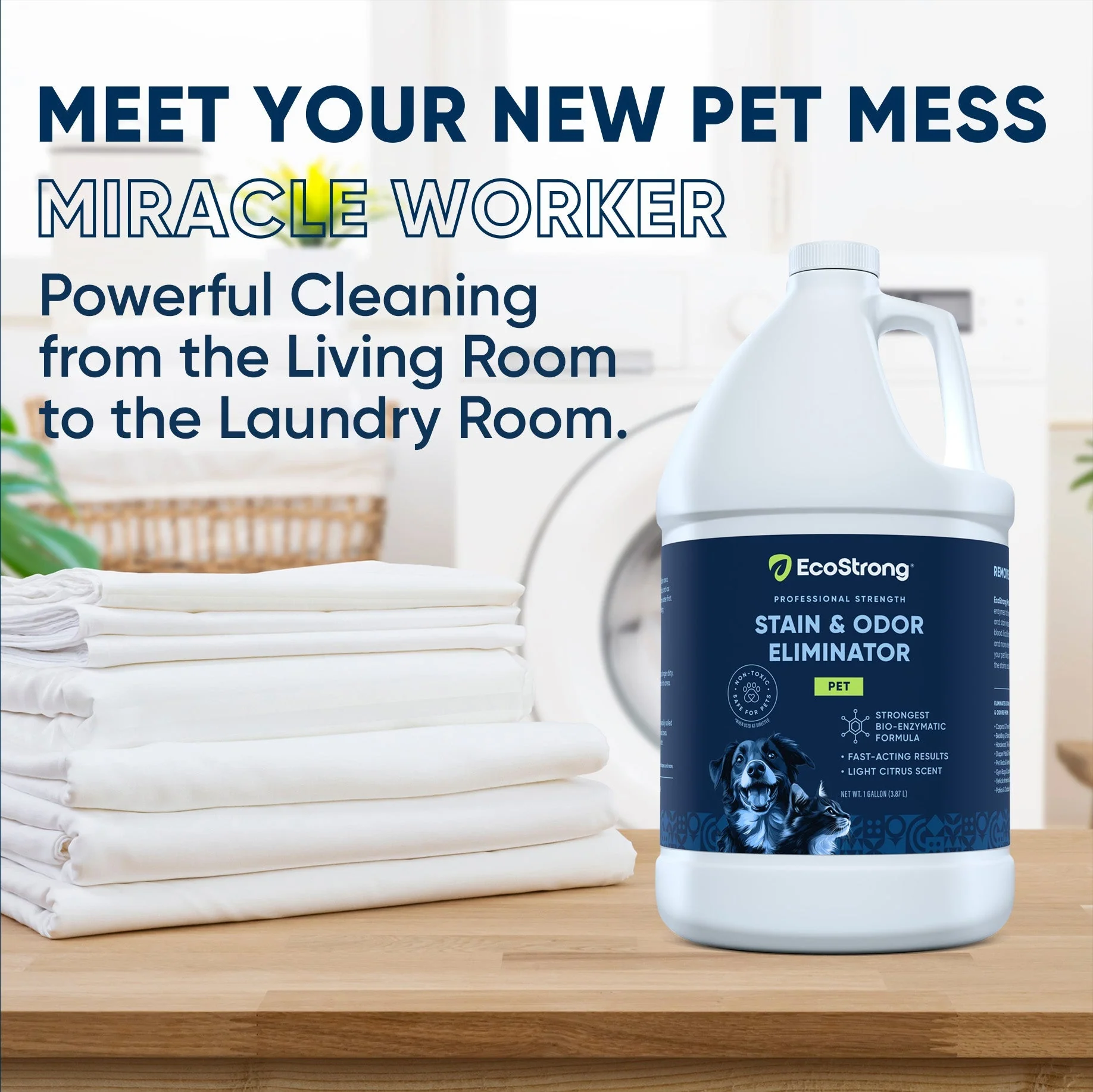 Pet Stain and Odor Eliminator - Image 3