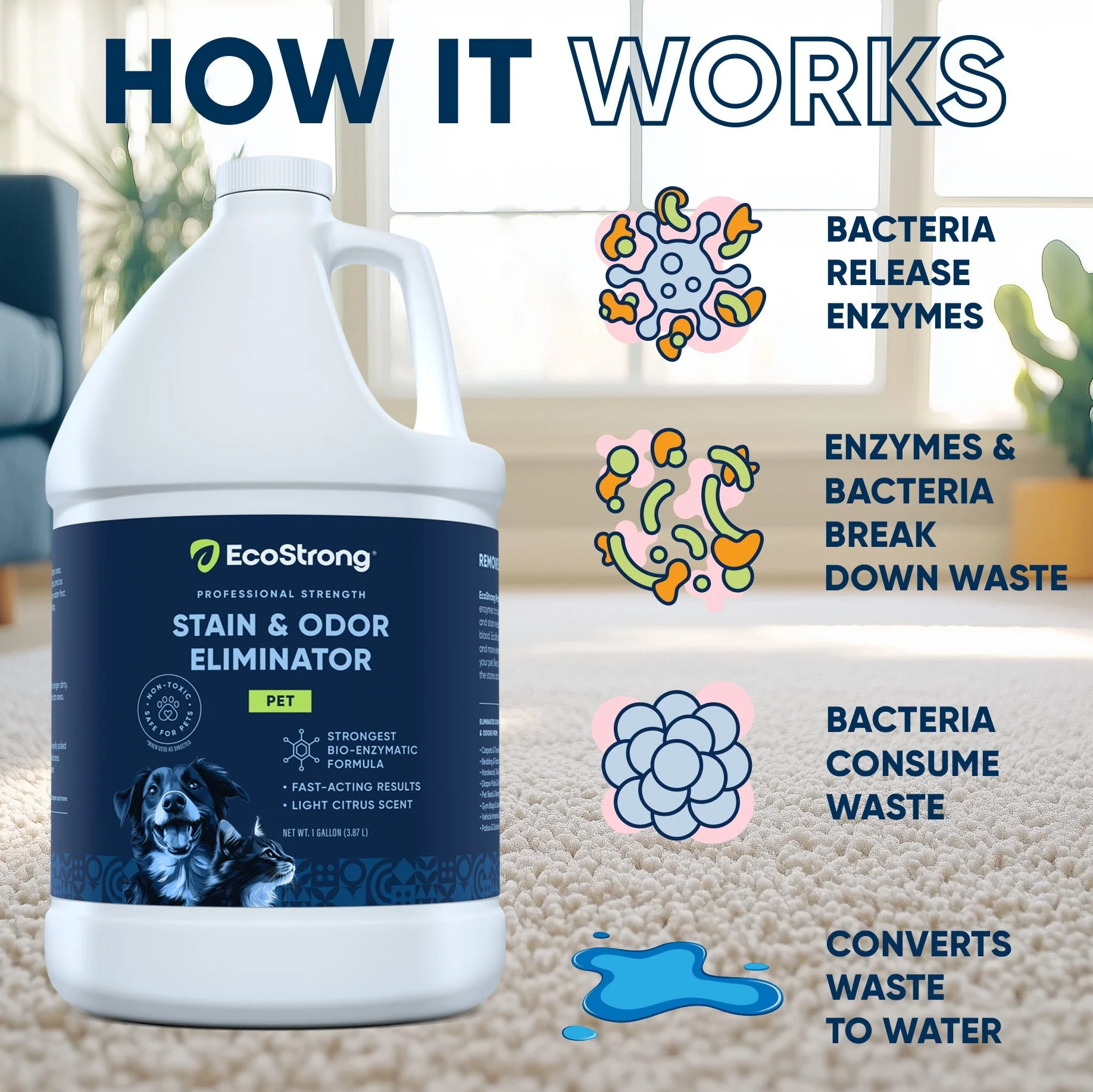 Pet Stain and Odor Eliminator - Image 6