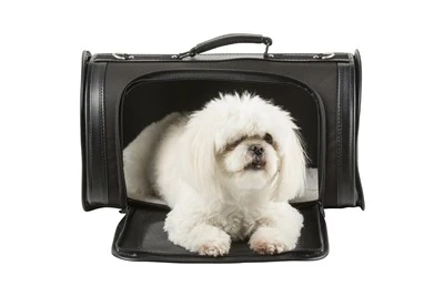 Petote Kelle Pet Carrier - Made in the USA - Please Note Shipping in Description - Image 9