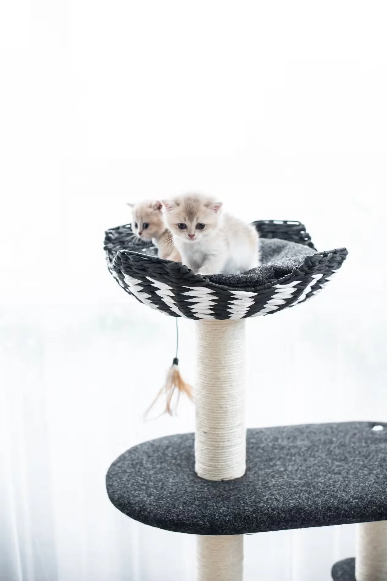 PetPals Ace - Natural, Sustainable Handwoven Cat Tree - Image 6