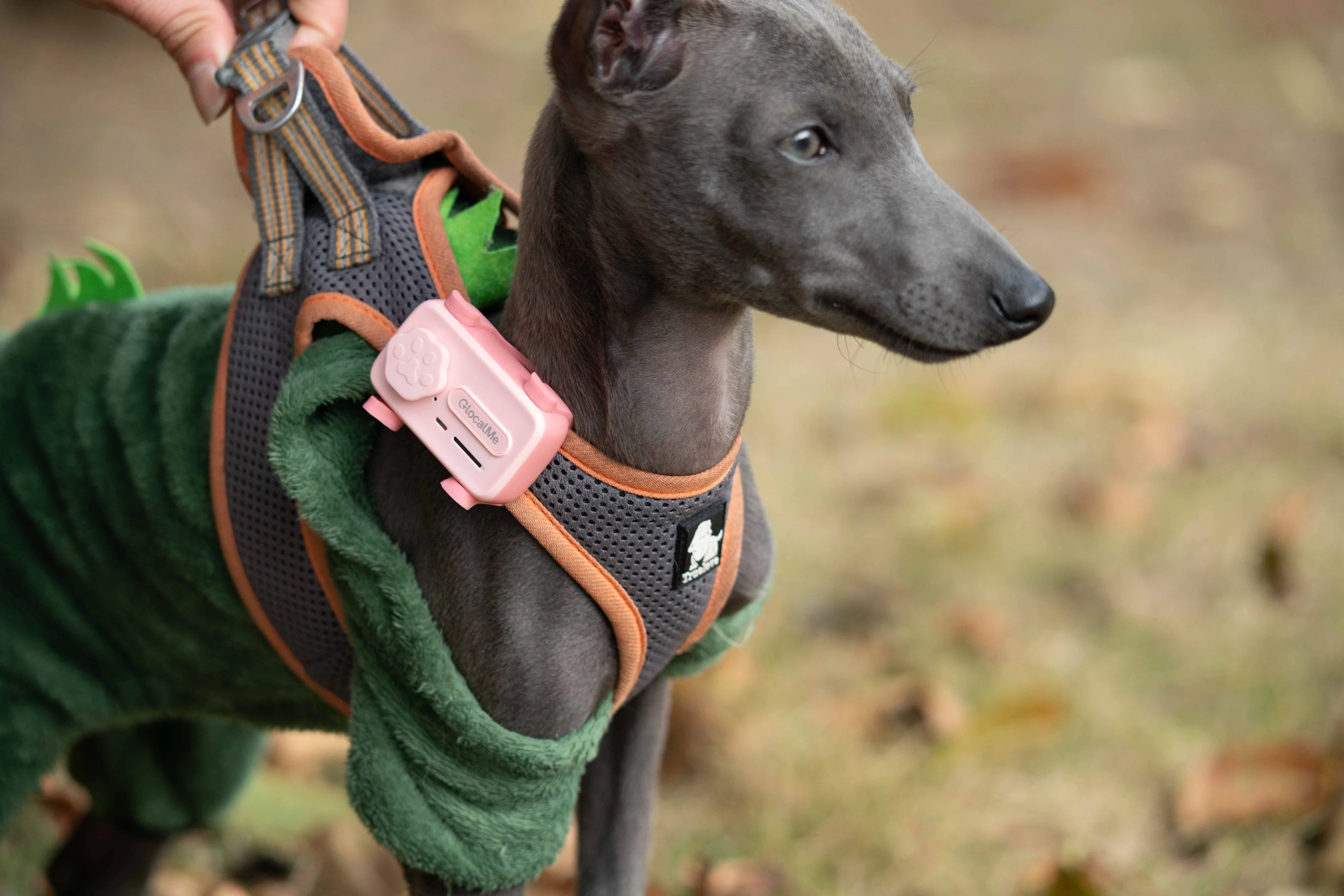 GlocalMe PetPhone – The First Satellite GPS Tracking Smartphone & Activity Tracker Designed For Your Pet - Image 6