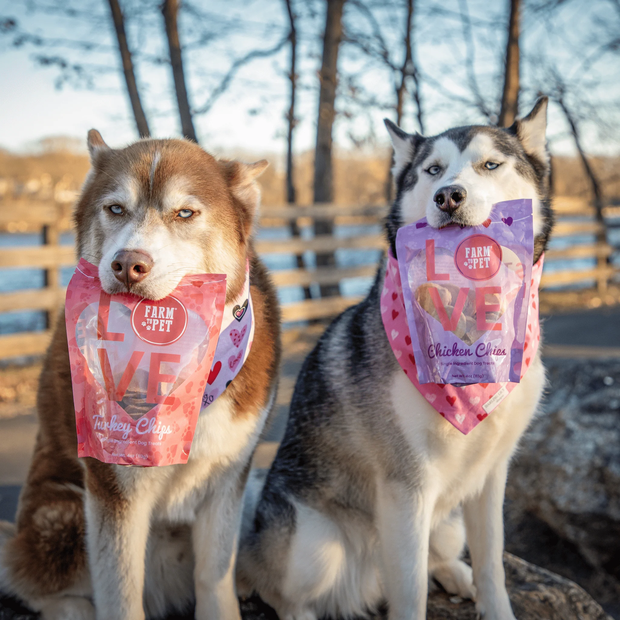 Pets Love Chips Bundle - Image 5