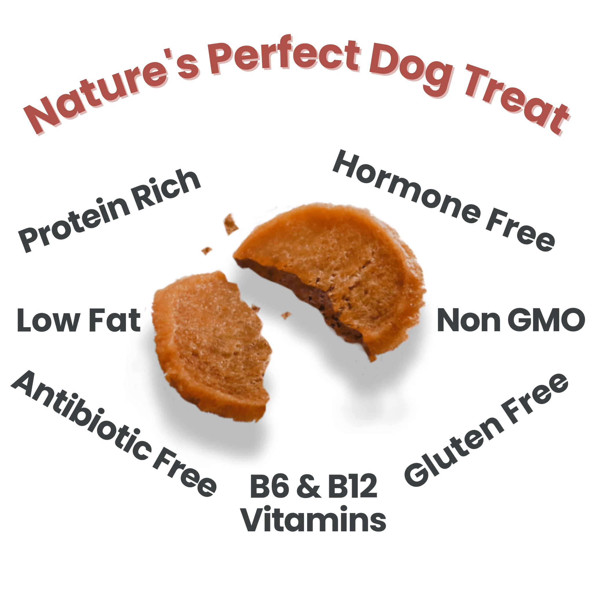 Poultry Power Chicken & Turkey Pack - Image 4