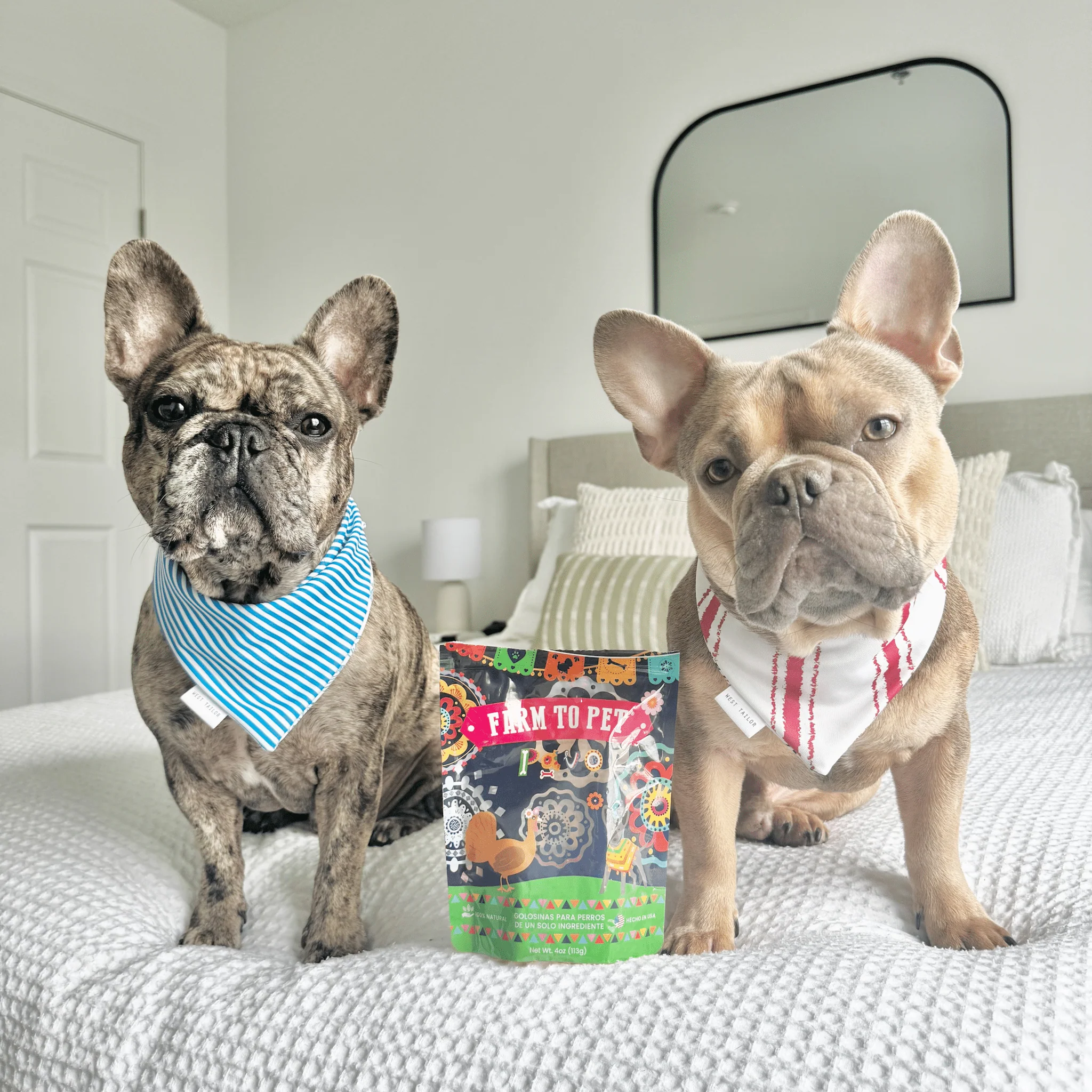 Farm to Pet Premios Para Perros Fiesta Pack | Dog Treat Variety Bundle - Image 3