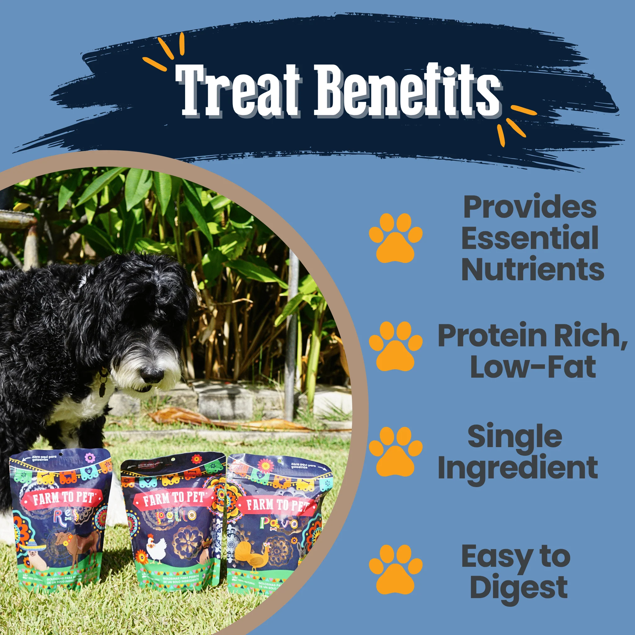 Farm to Pet Premios Para Perros Fiesta Pack | Dog Treat Variety Bundle - Image 9