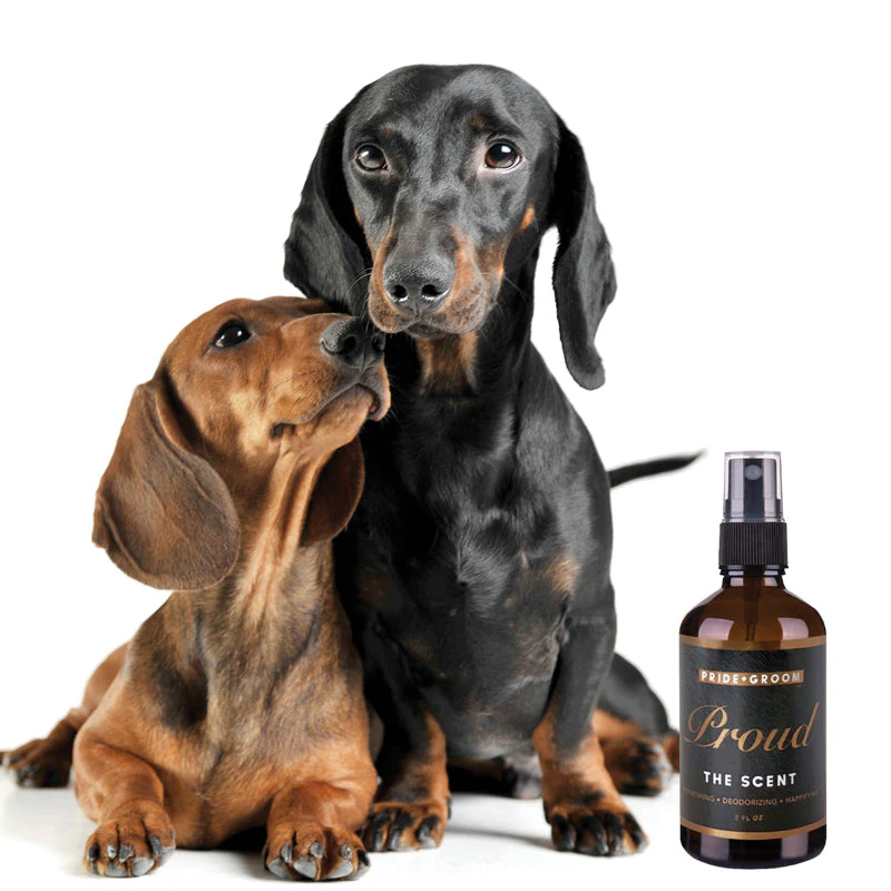 PROUD Dog & Cat Perfume Spray — Natural Deodorizing Pet Cologne with Bergamot & Citrus - Image 2