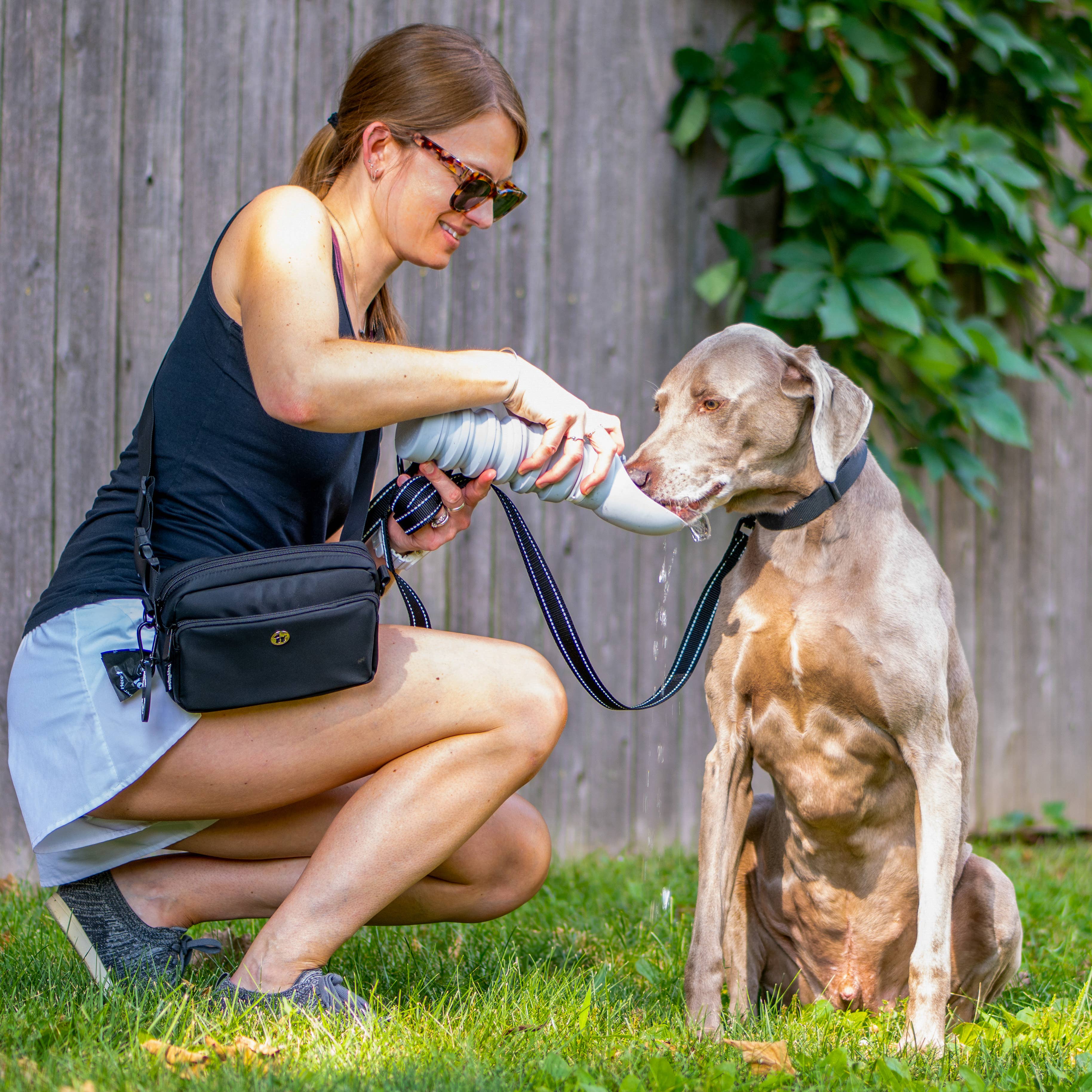 Puppington Collapsible Water Bottles for Dogs - Leakproof, Compact, BPA free - Image 15