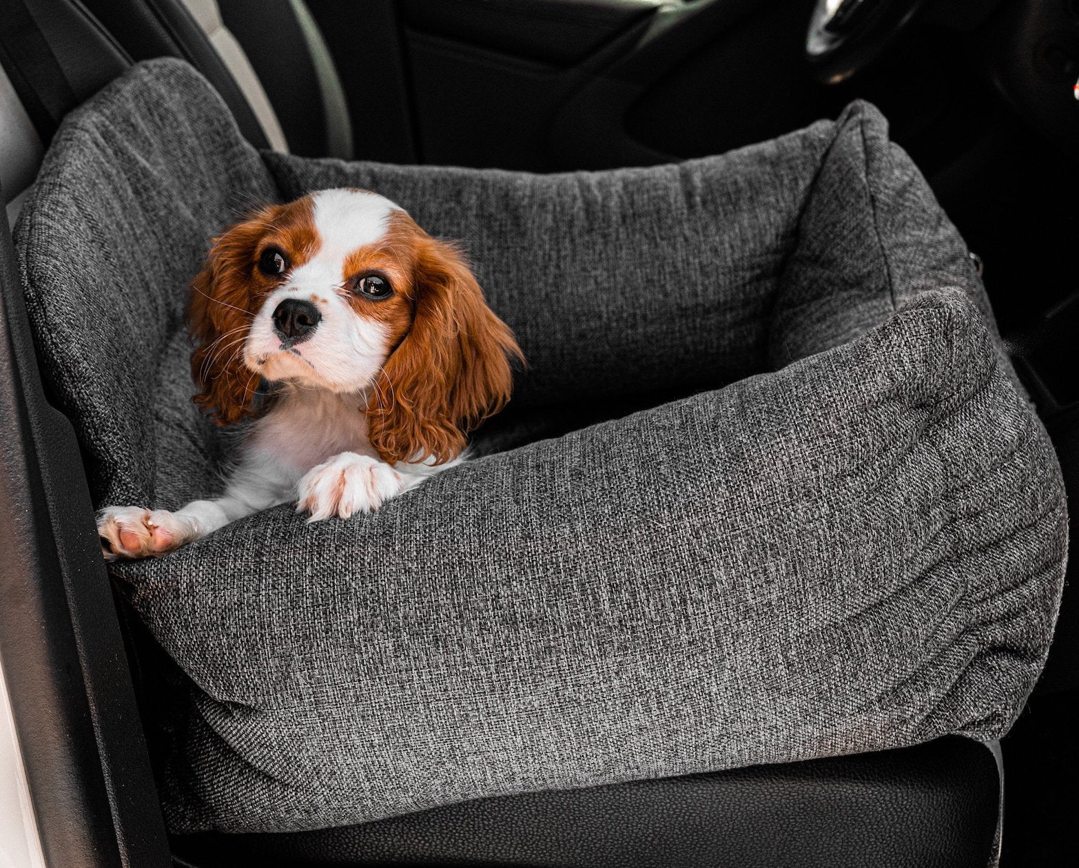 PupProtector™ Memory Foam Dog Car Bed - Image 22