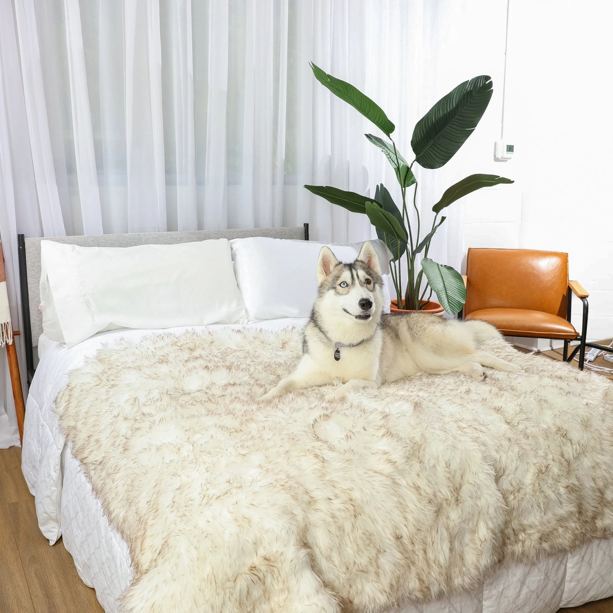 PupProtector™ Waterproof Throw Blanket - White with Brown Accents - Image 12