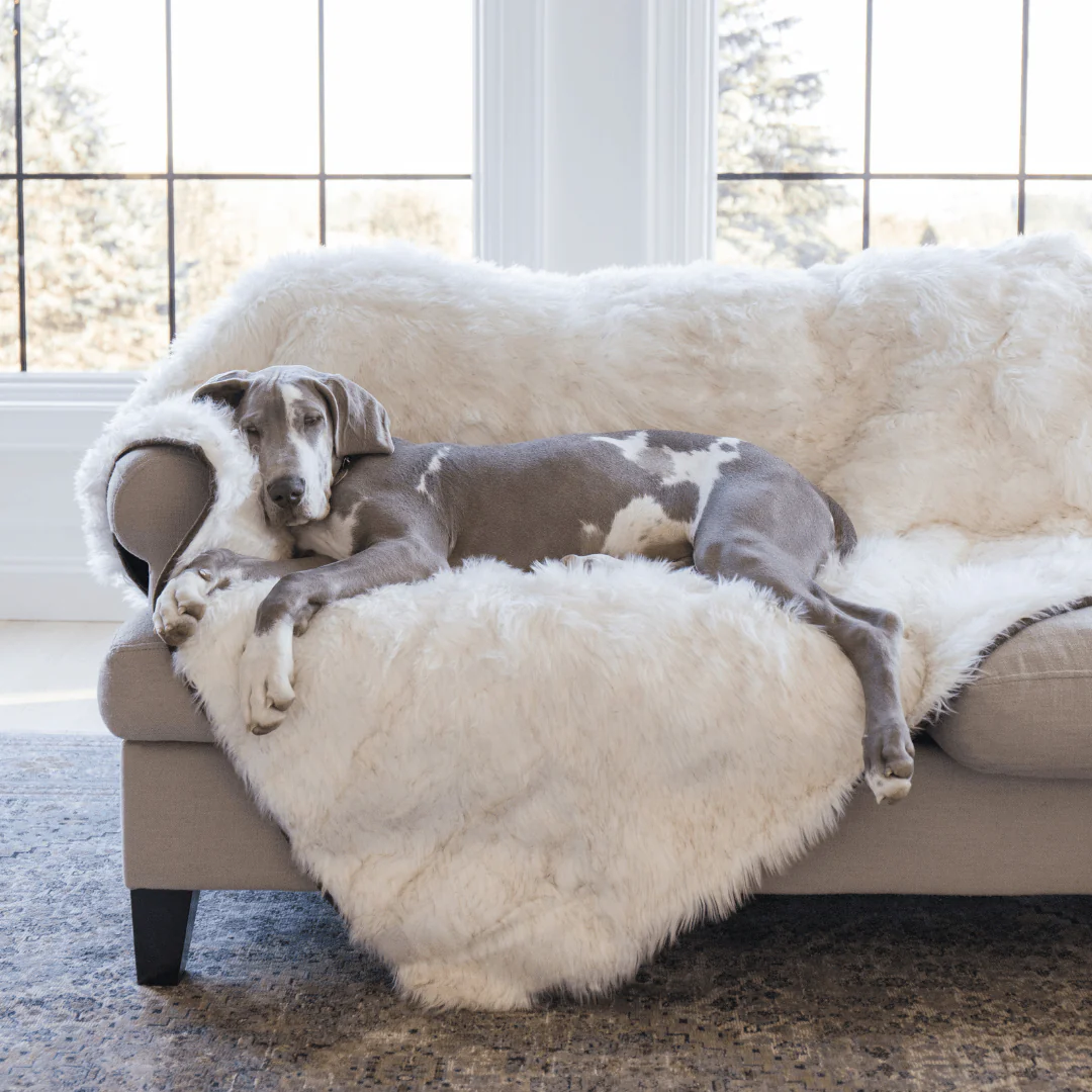 PupProtector™ Waterproof Throw Blanket - White with Brown Accents - Image 3