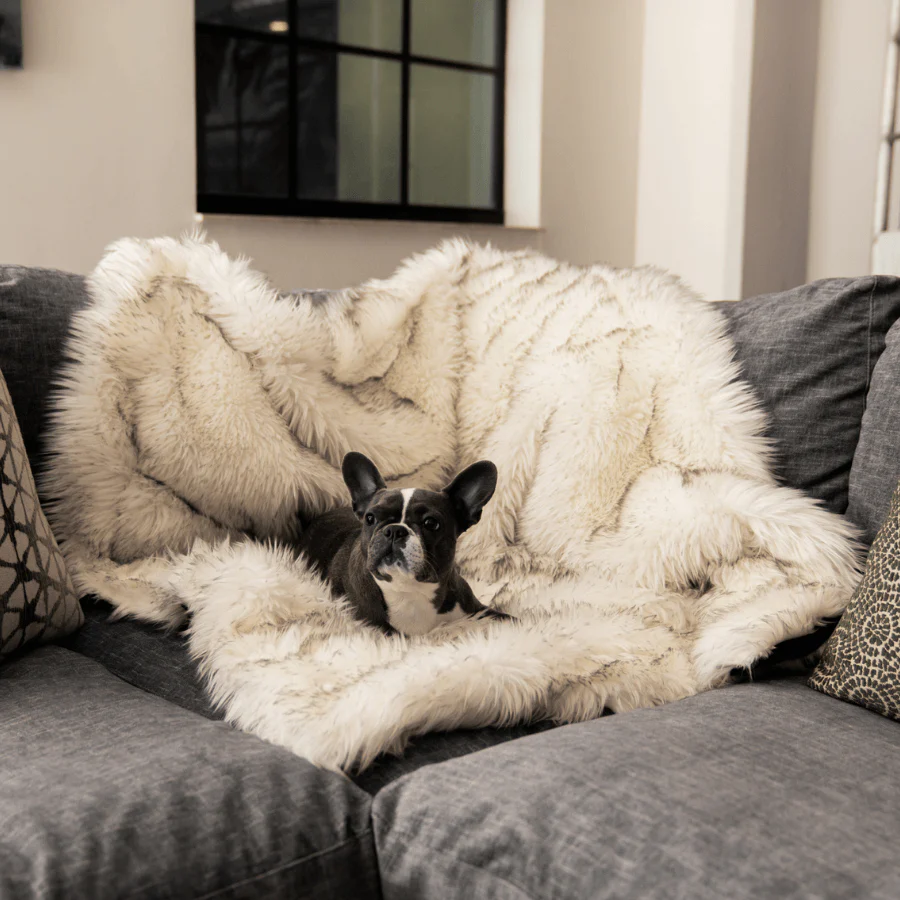 PupProtector™ Waterproof Throw Blanket - White with Brown Accents - Image 5