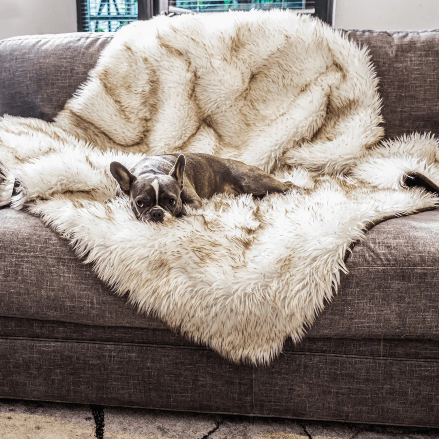 PupProtector™ Waterproof Throw Blanket - White with Brown Accents - Image 7