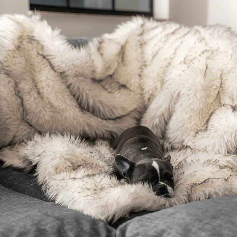 PupProtector™ Waterproof Throw Blanket - White with Brown Accents - Image 9