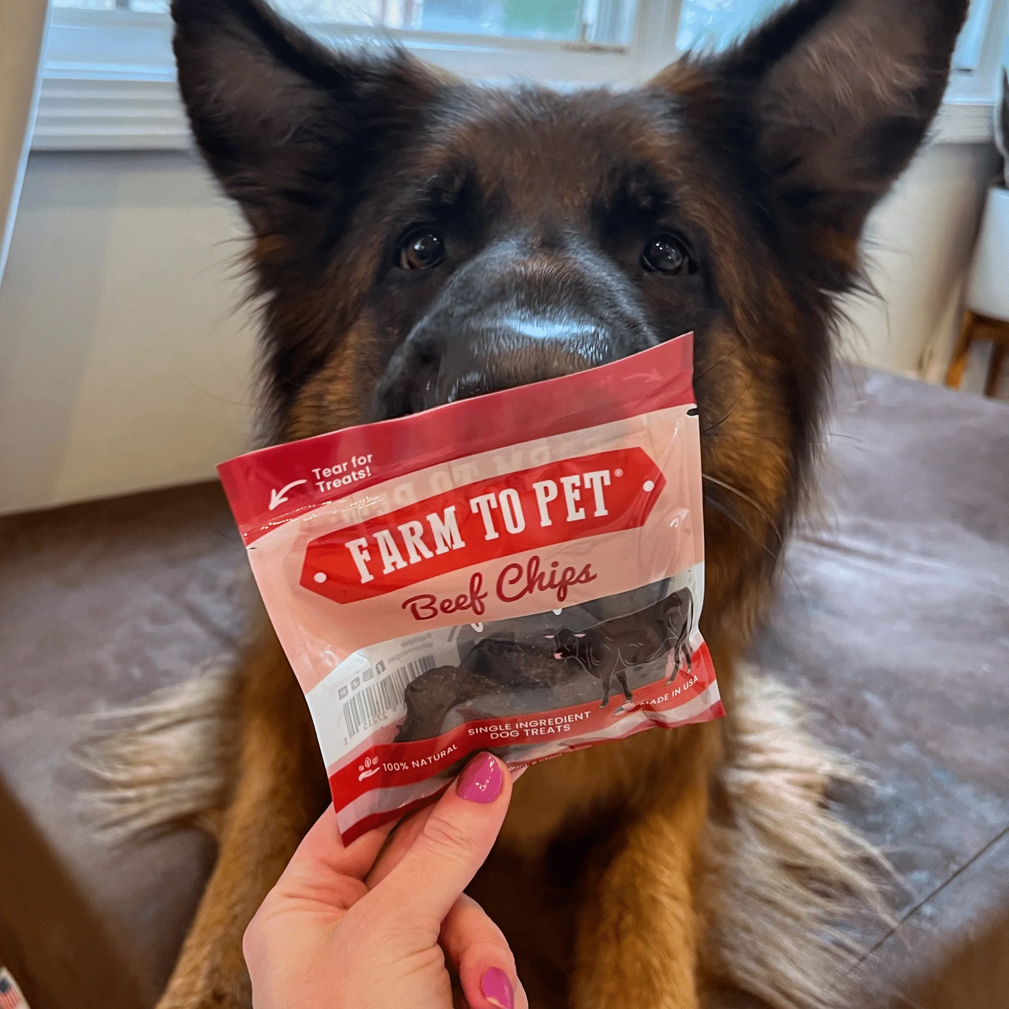 Puppy Packs 'N Snacks Dog Treat Starter - Image 12